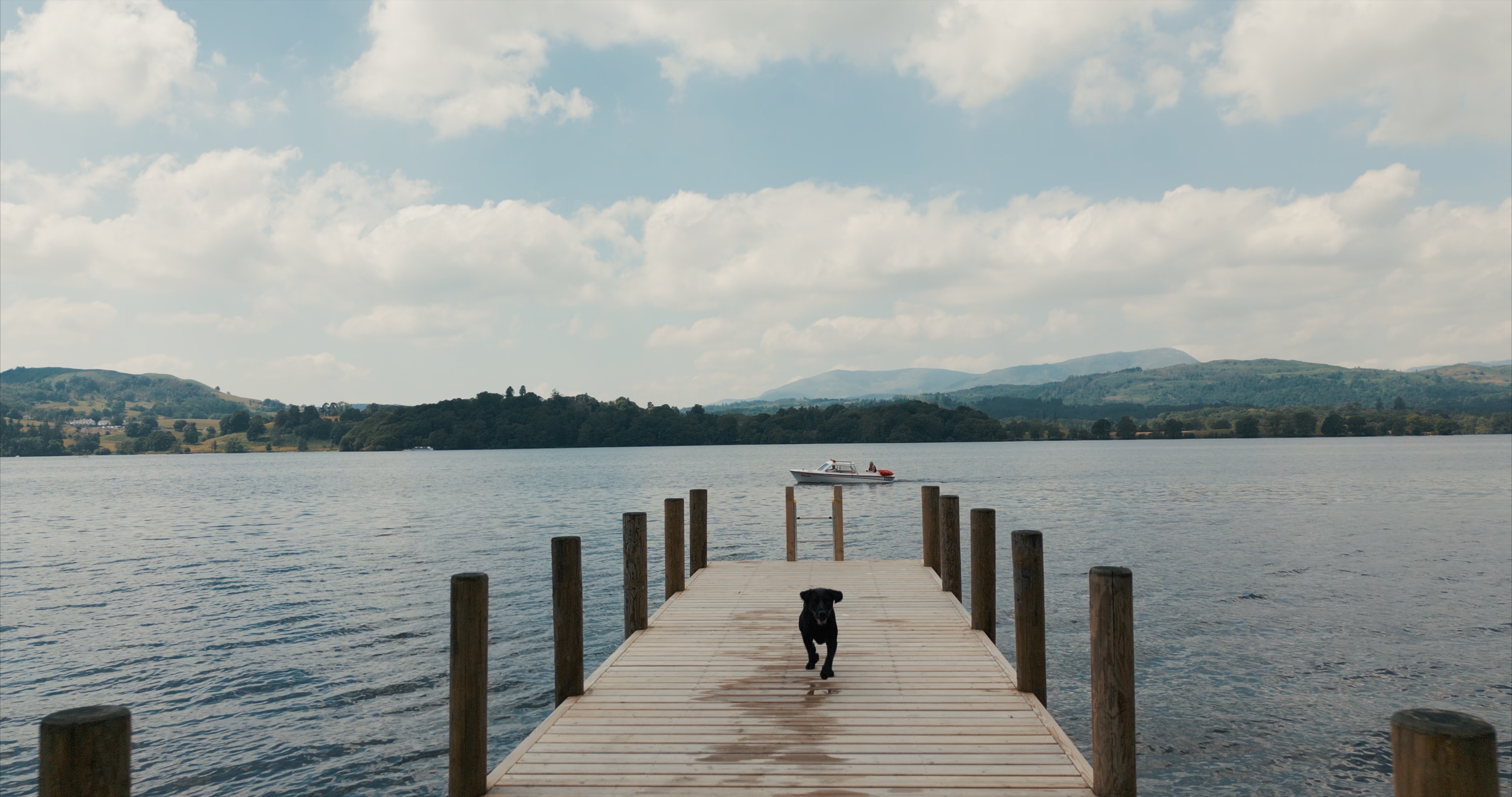 A black labrador running down a dock on Windermere lake, the setting of the dog-friendly Langdale Chase.