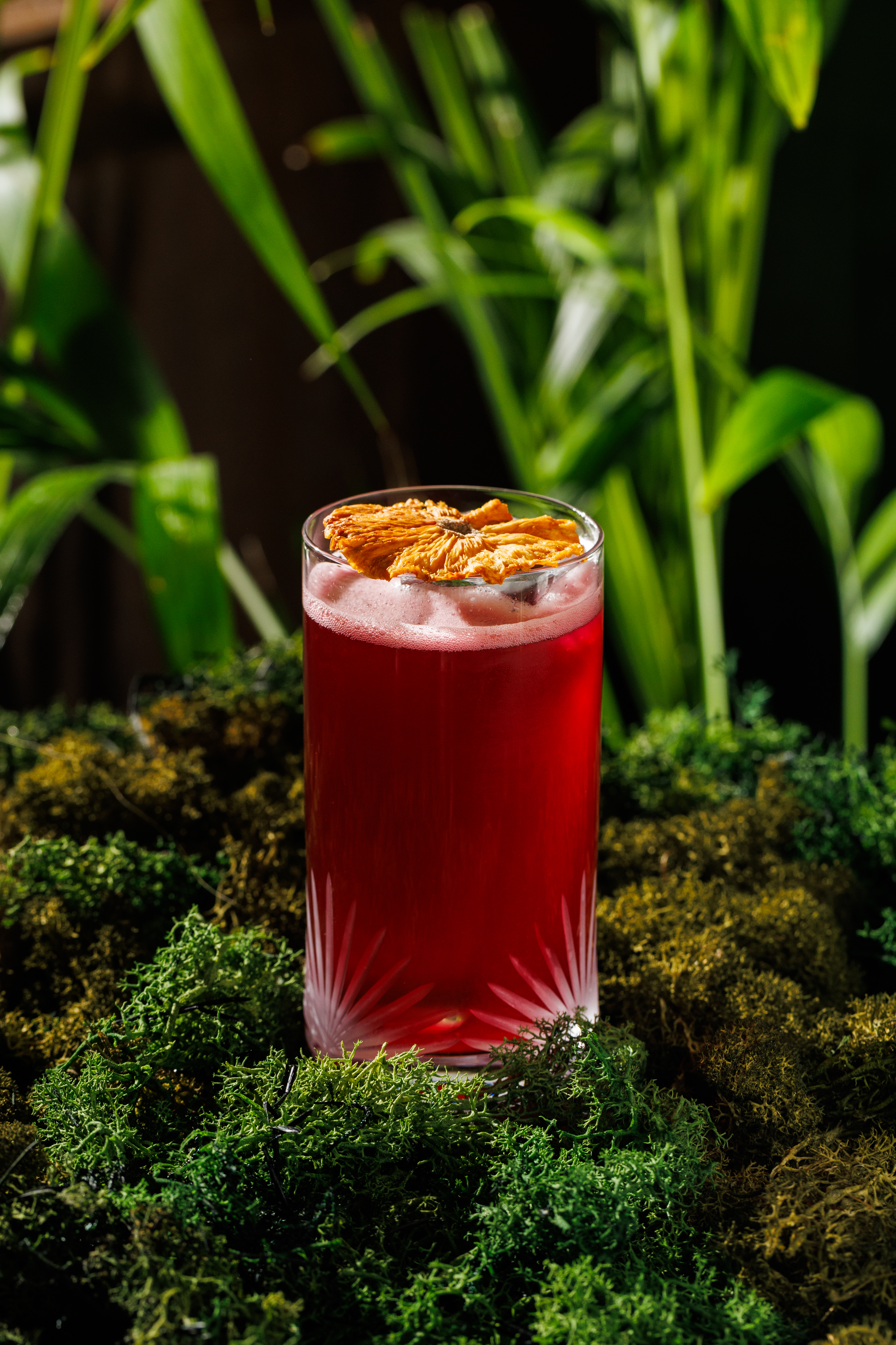 Amazonico Rainforest Cocktails - Ica cocktail, topped with dried citrus.