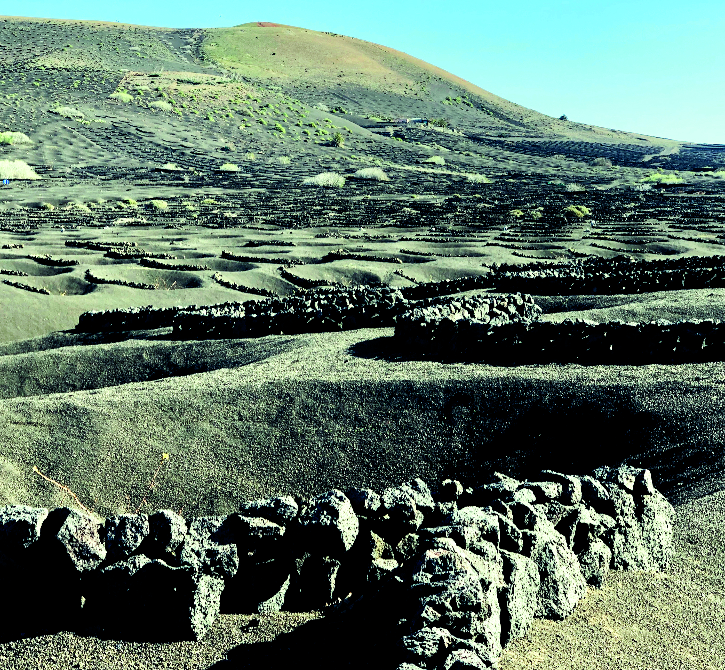 Volcanic Wines - Lanzarote Craters