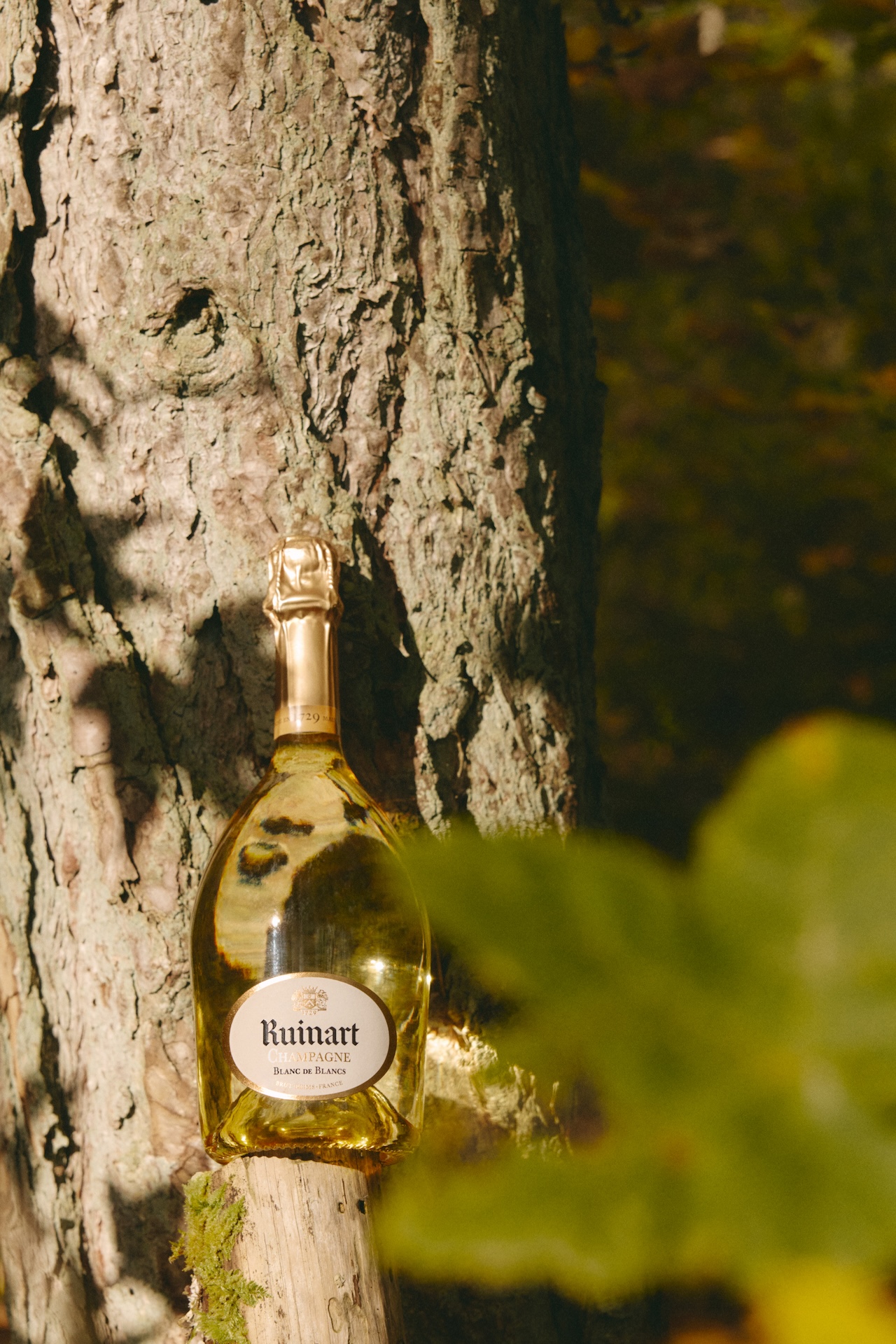 Frédéric Panaïotis was Ruinart's Cellar Master