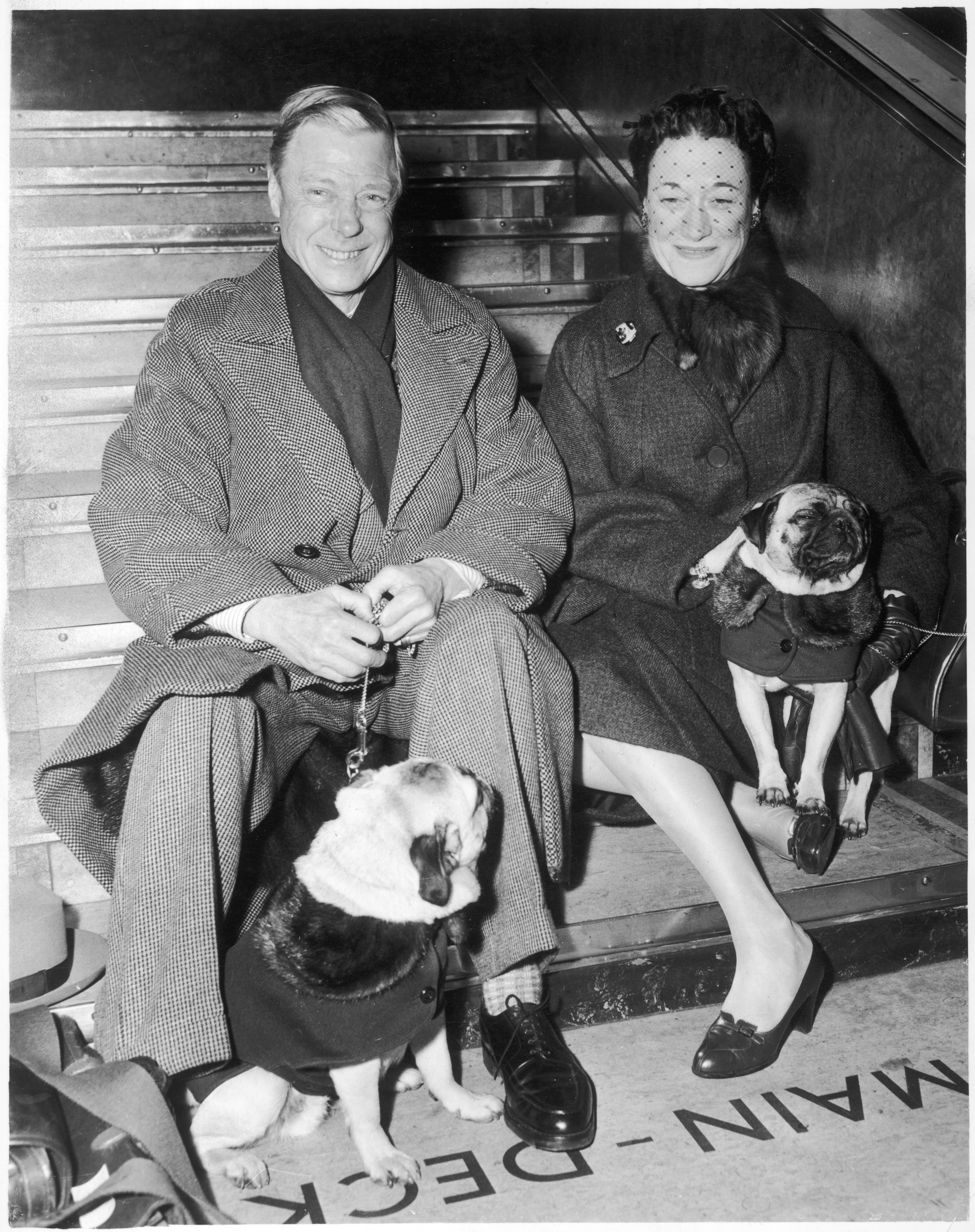 The Duke of Windsor with his wife and their pugs in the history of the royal dogs