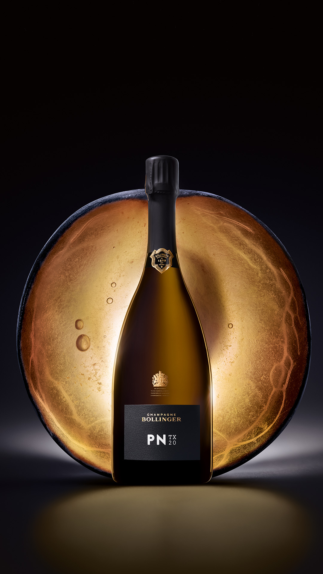 Bollinger PN TX20