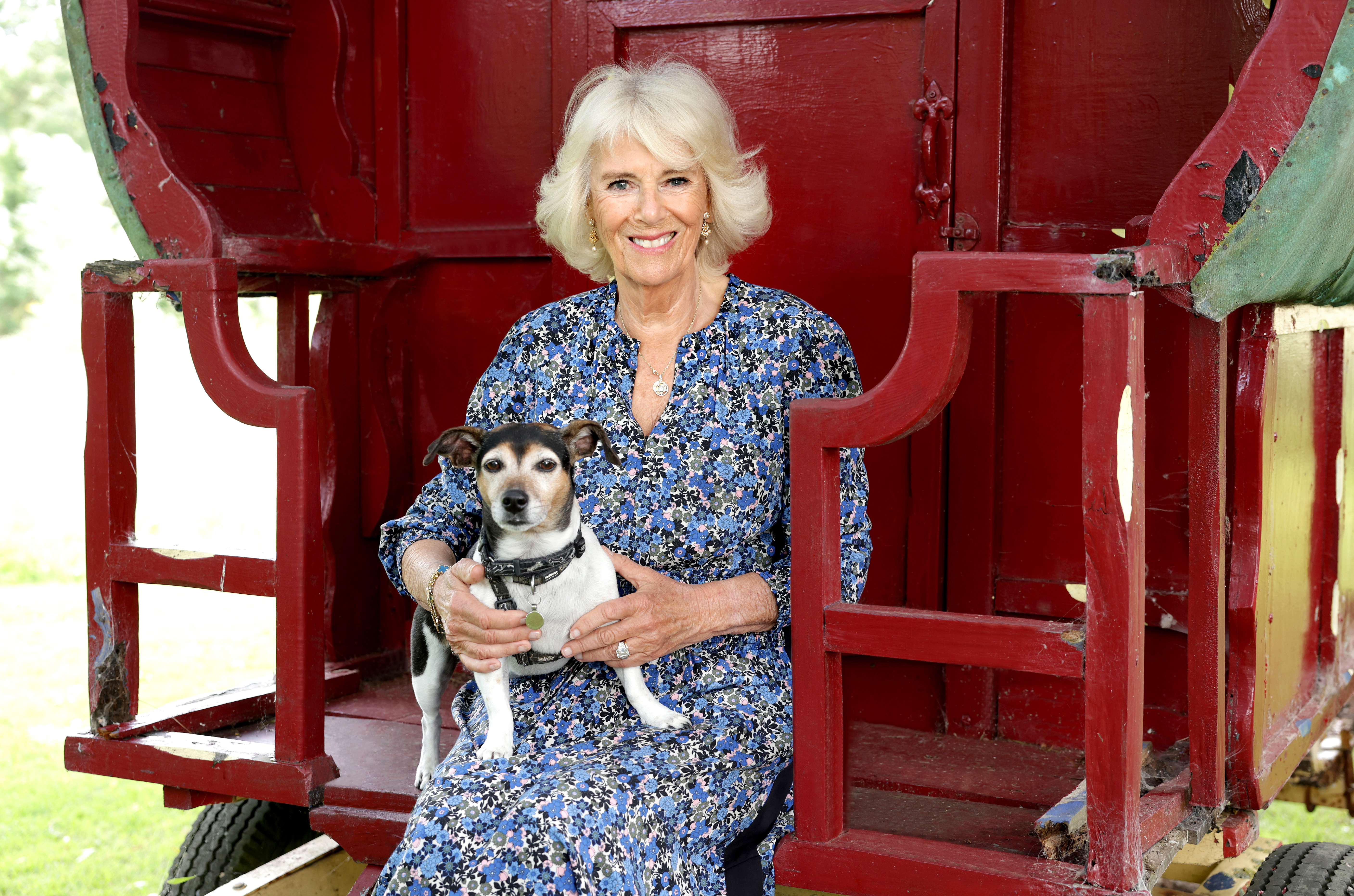 A History of the Royal Dogs: Queen Camilla sits on a red caravan with her Jack Russell terrier, Beth.