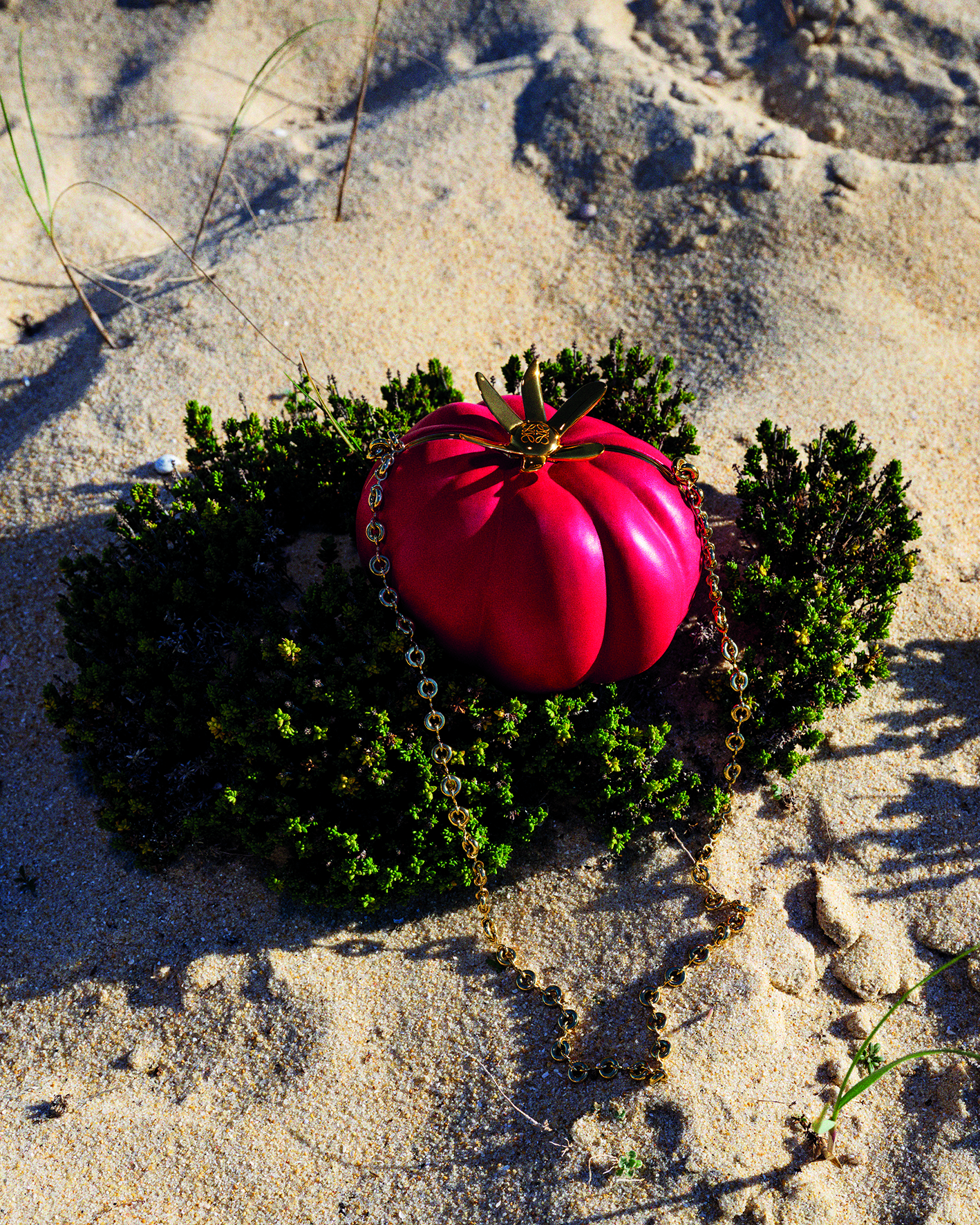 Tomato Clutch from fashion house Loewe.