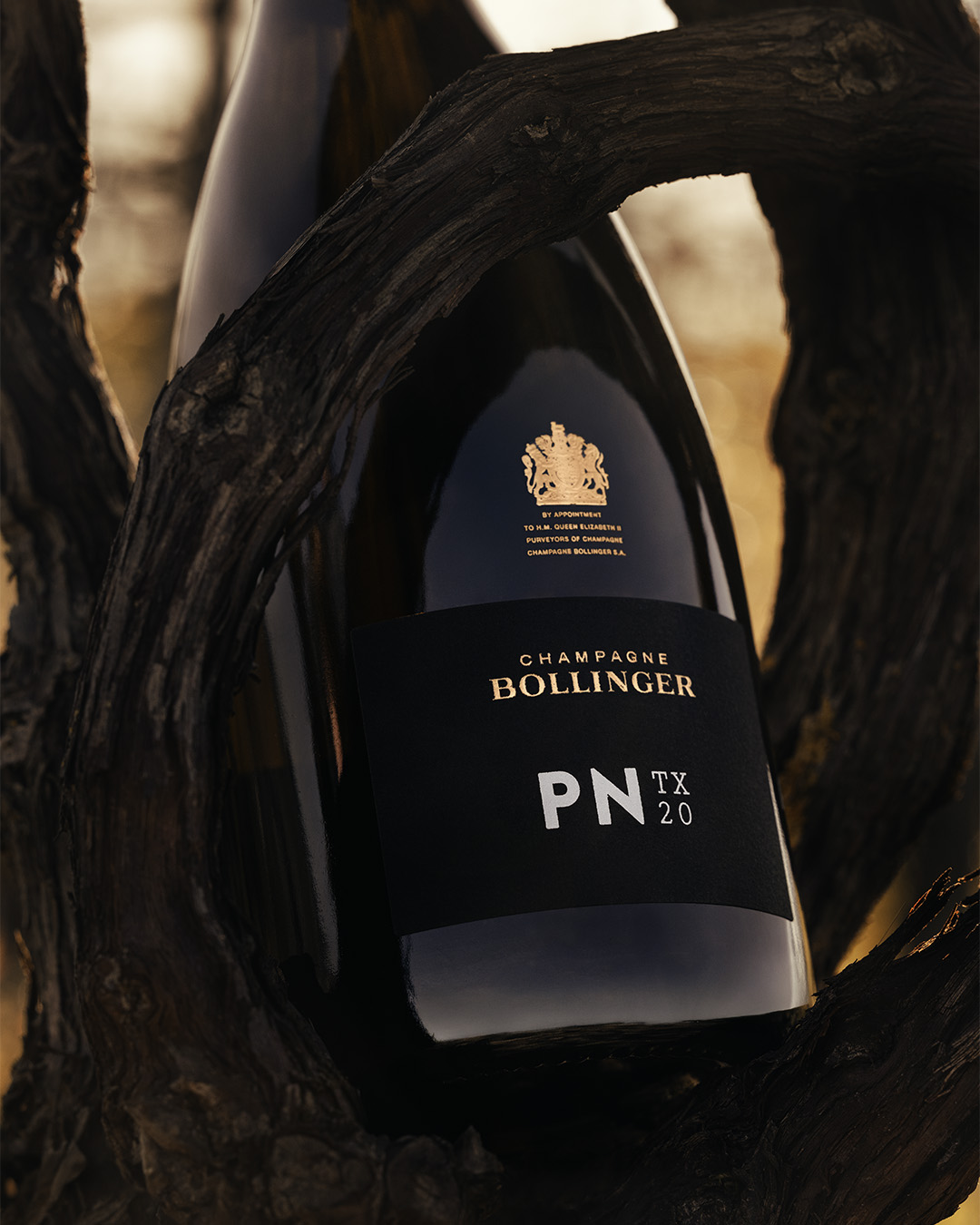 A black bottle of Bollinger PN TX20 within black vines.