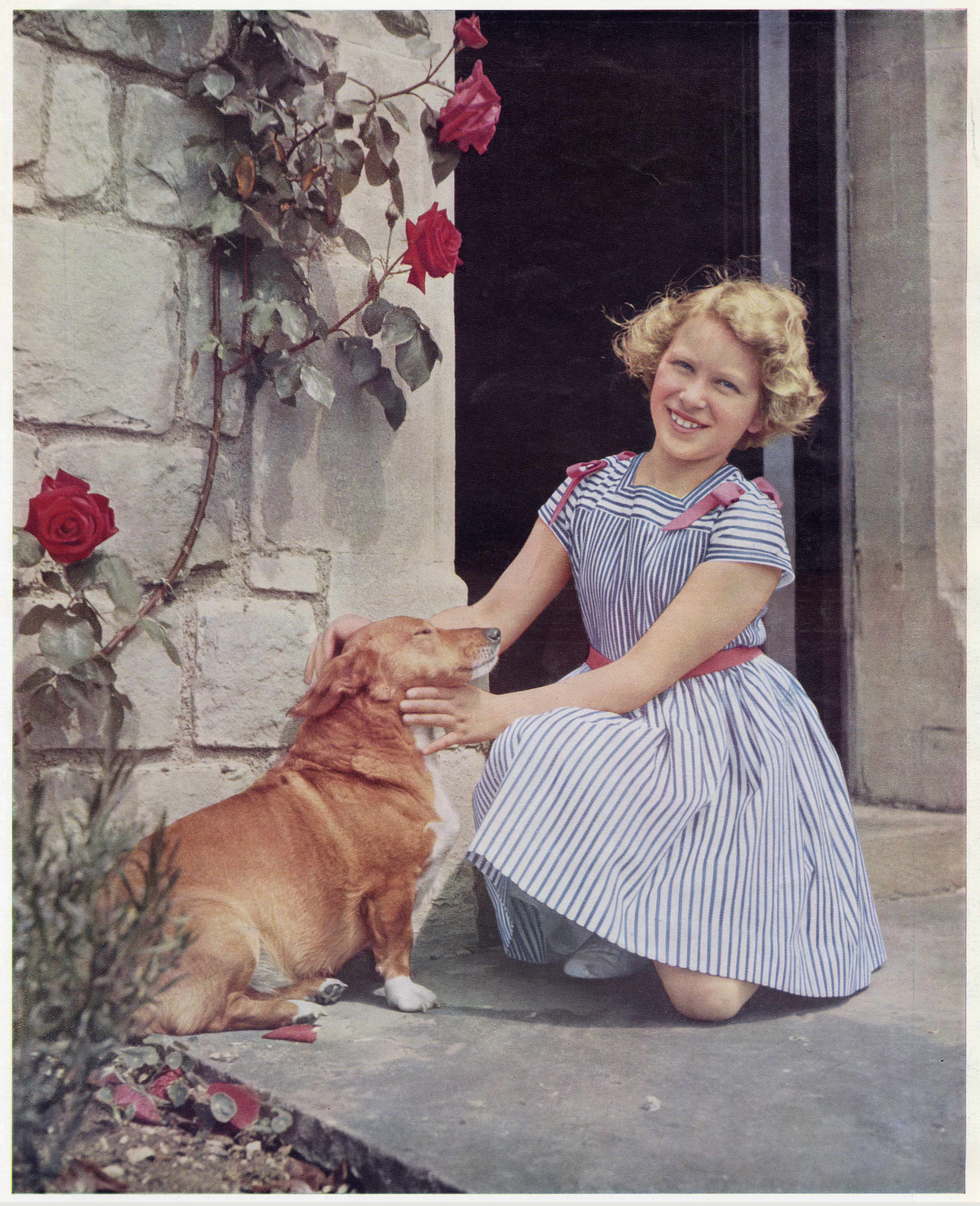 Princess Anne with corgi outside Windsor Castle.