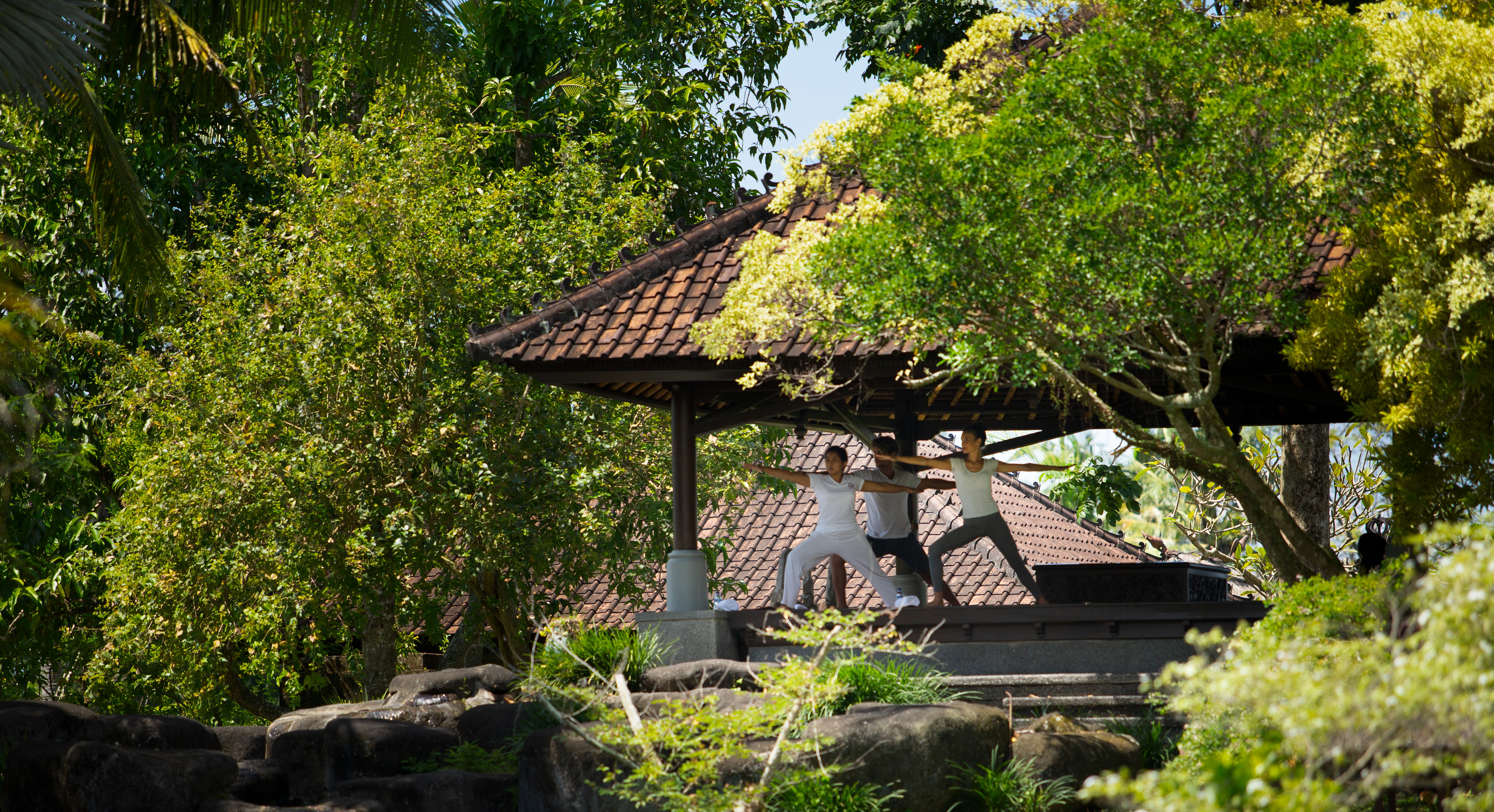 Yoga on luxury holiday in Bali. 