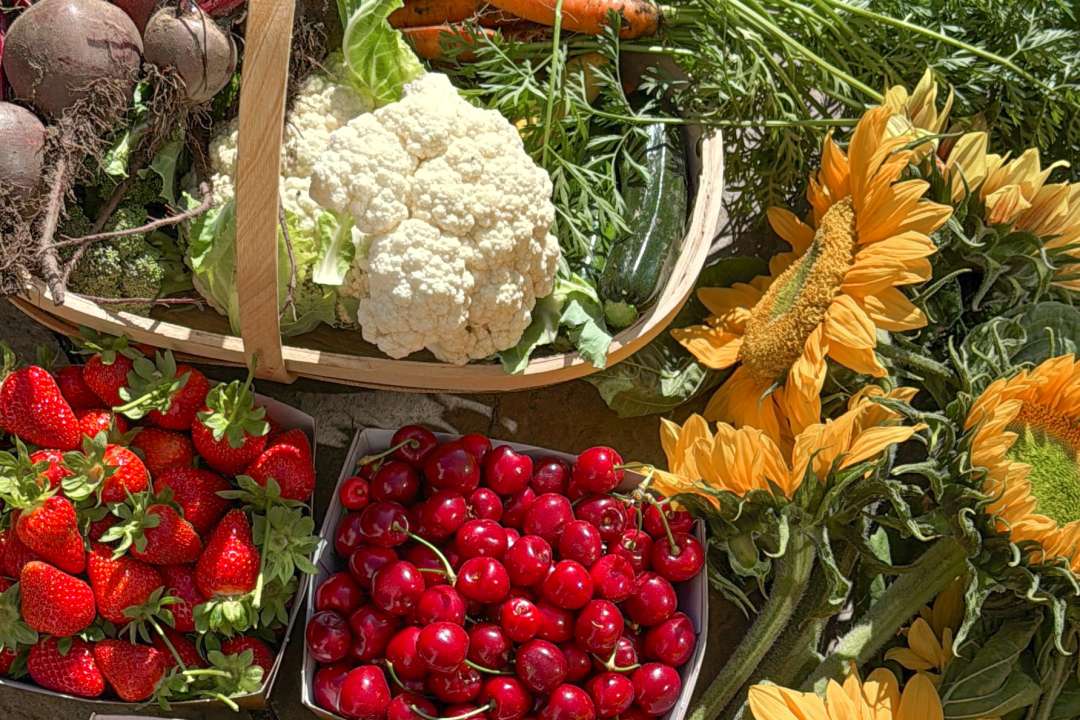A crop of Autumn fruit and vegetables from Garsons pick your own farm.