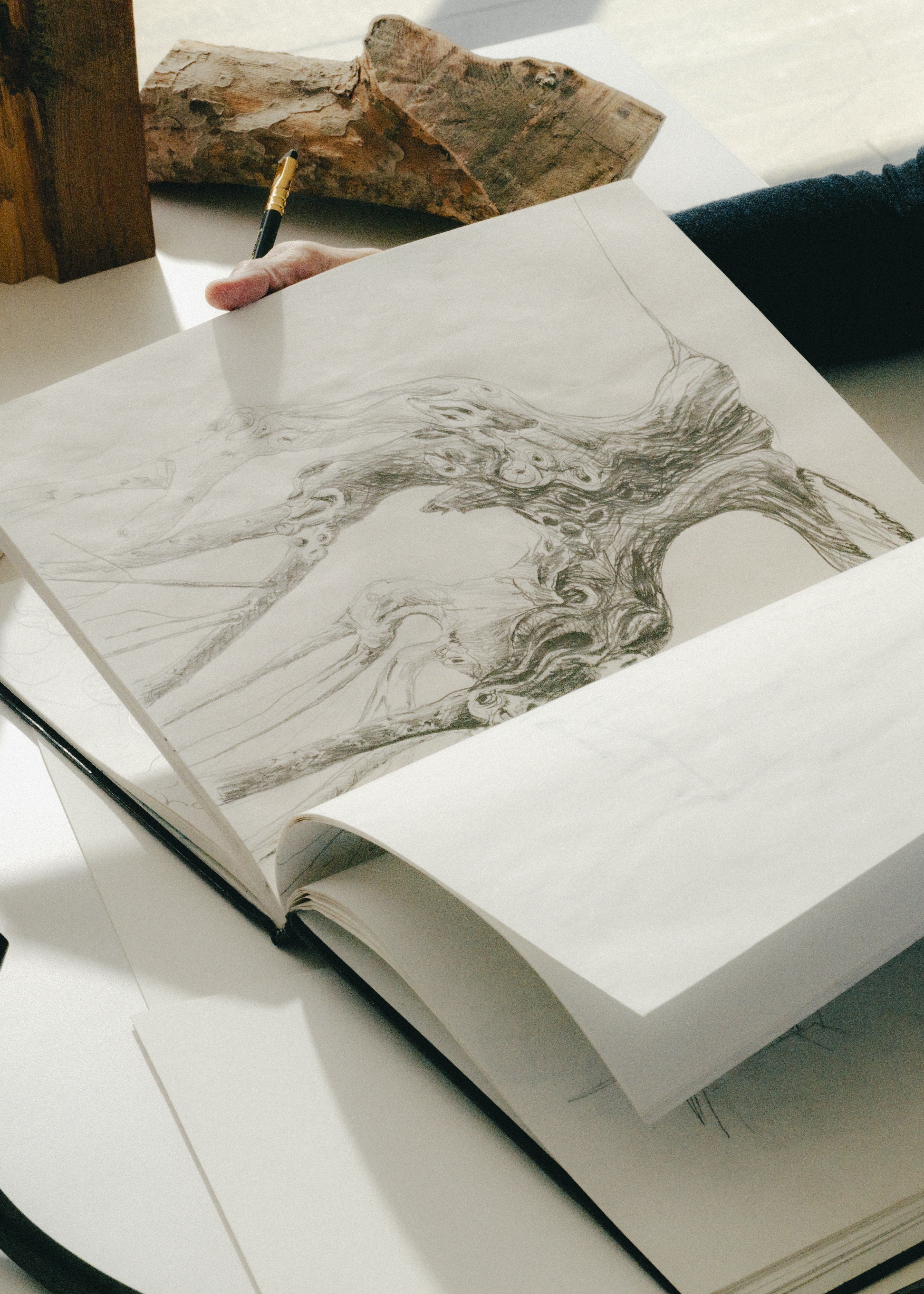 Sketch of tree by Jeanne Gang that inspired the Decanter #1 holding the 85-year-old whisky auctioned by Christie's and by by Gordon & MacPhail.