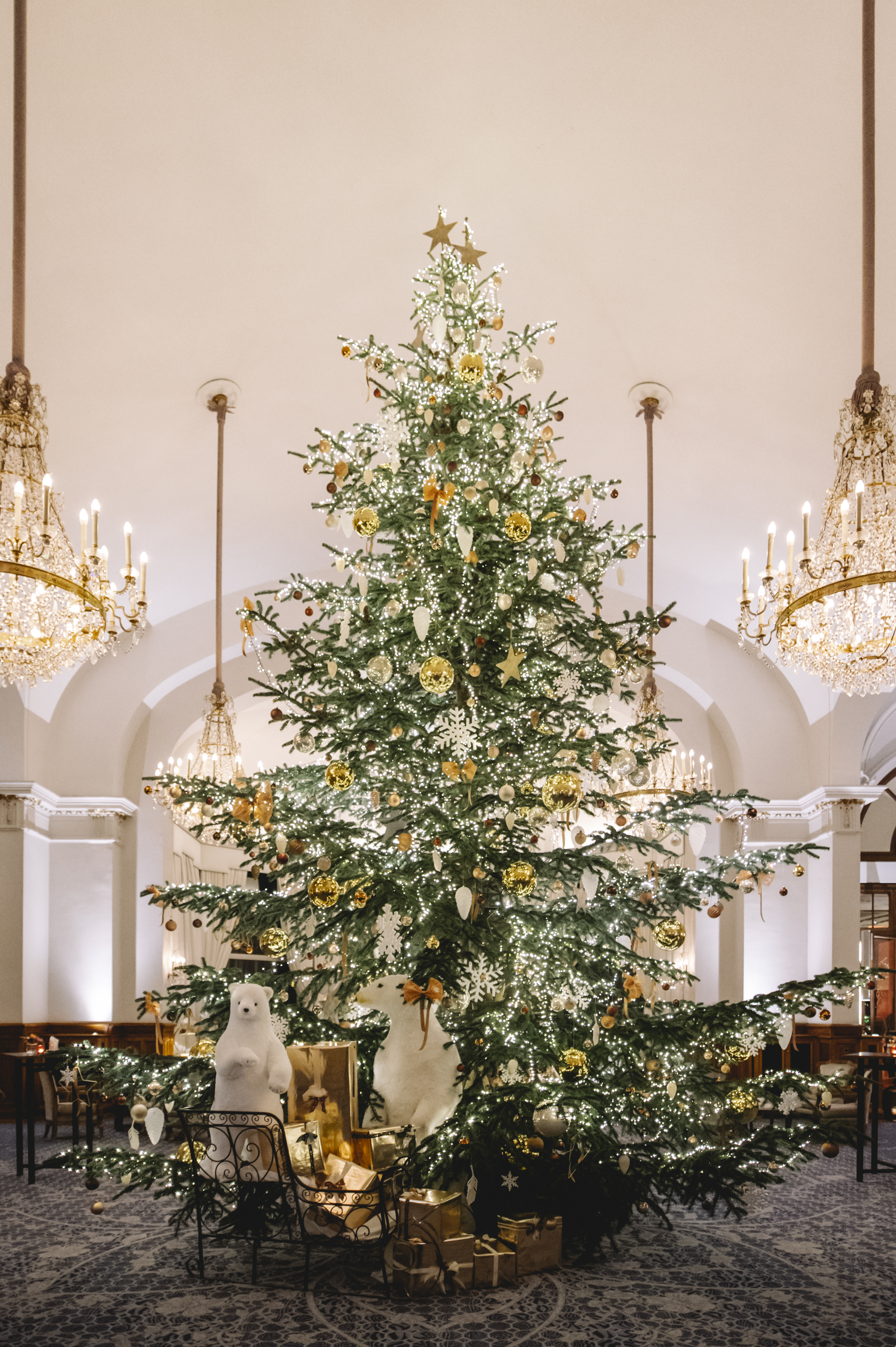 Tree at Fairmont, Switzerland, Europe Christmas Market 