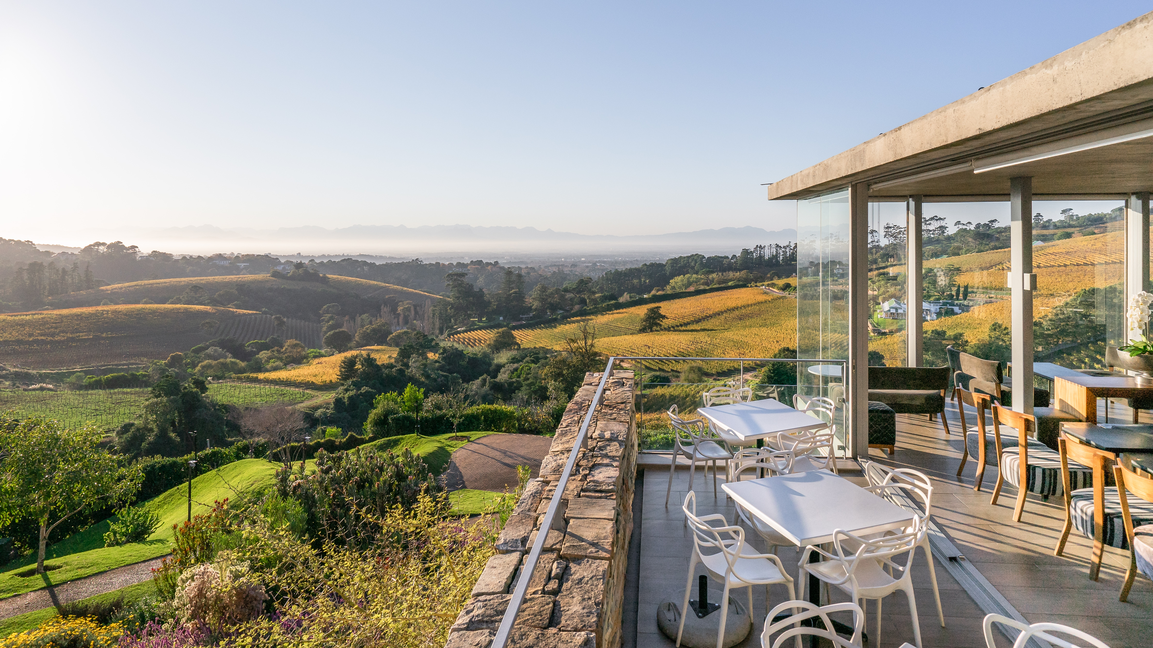 Klein Constantia, South African vineyards.