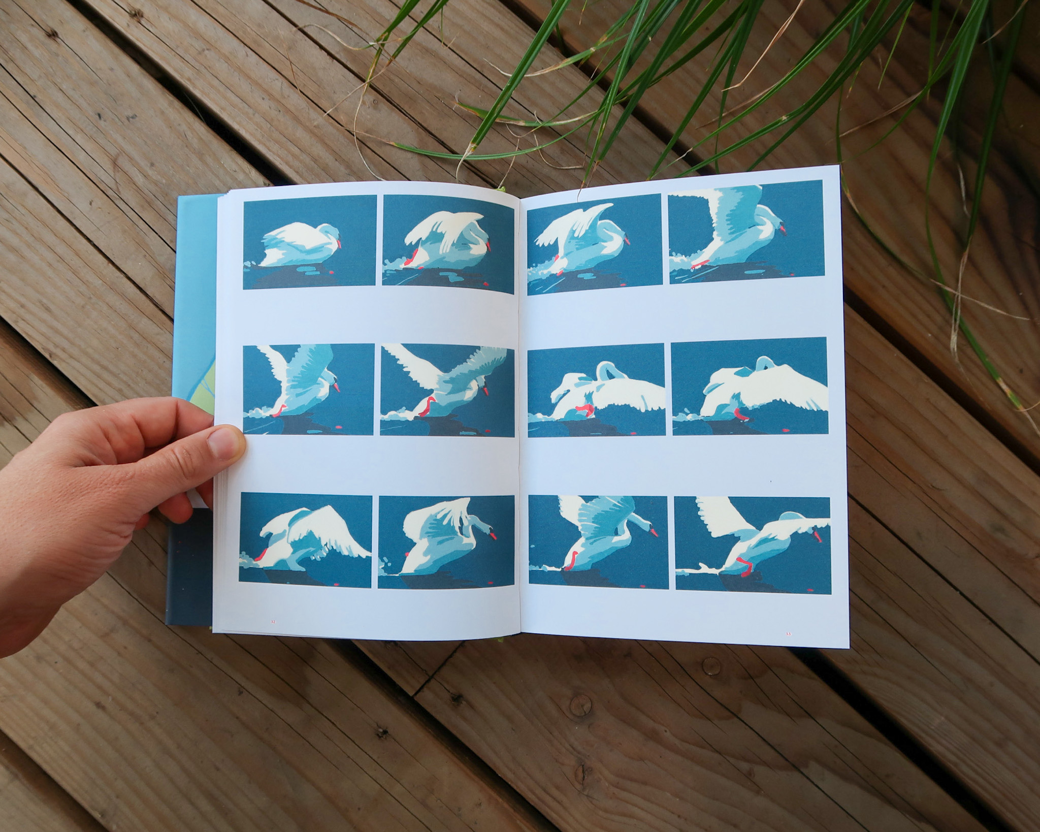 Illustrator Tom Haugomat