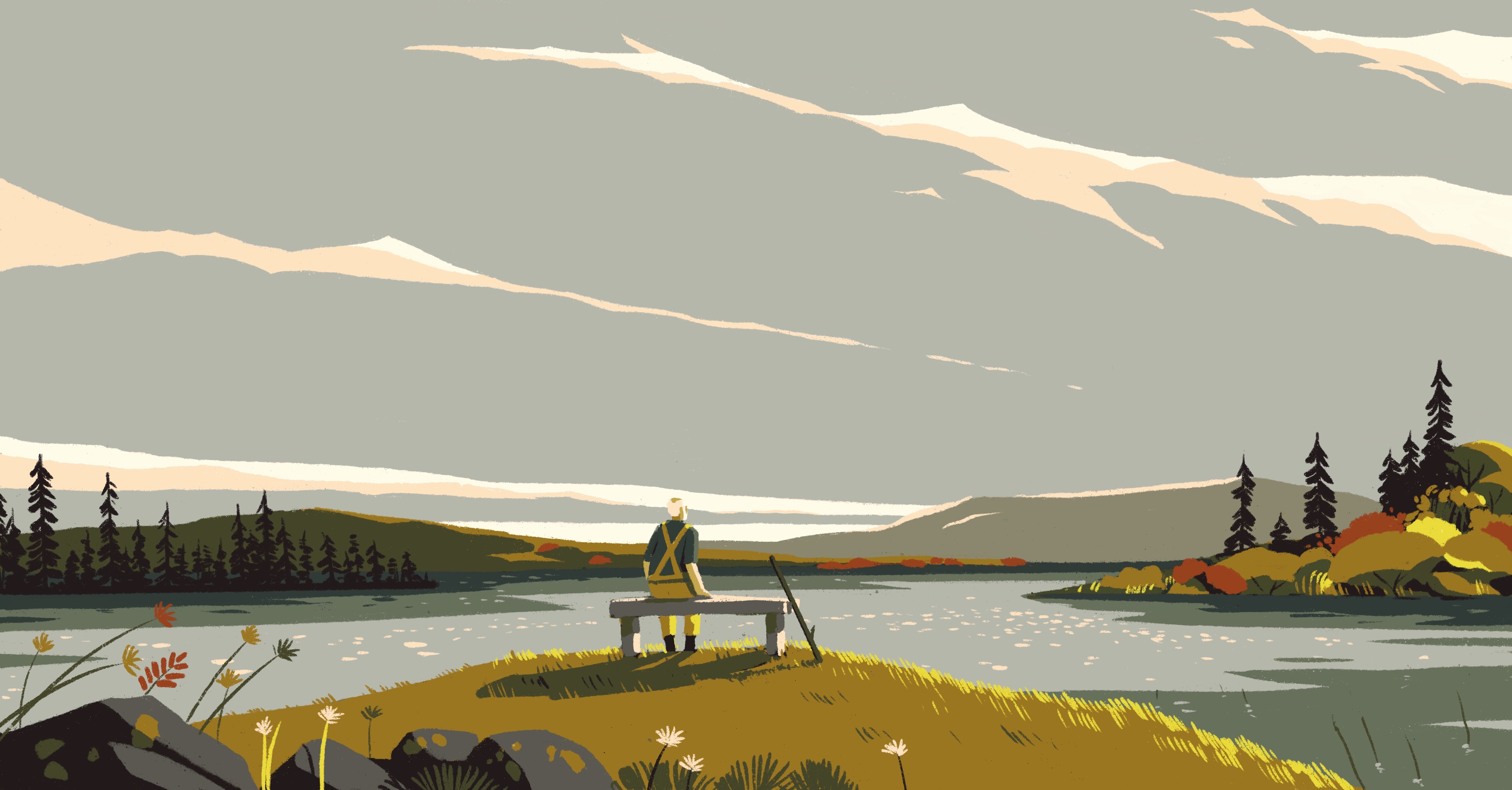 Illustrator Tom Haugomat