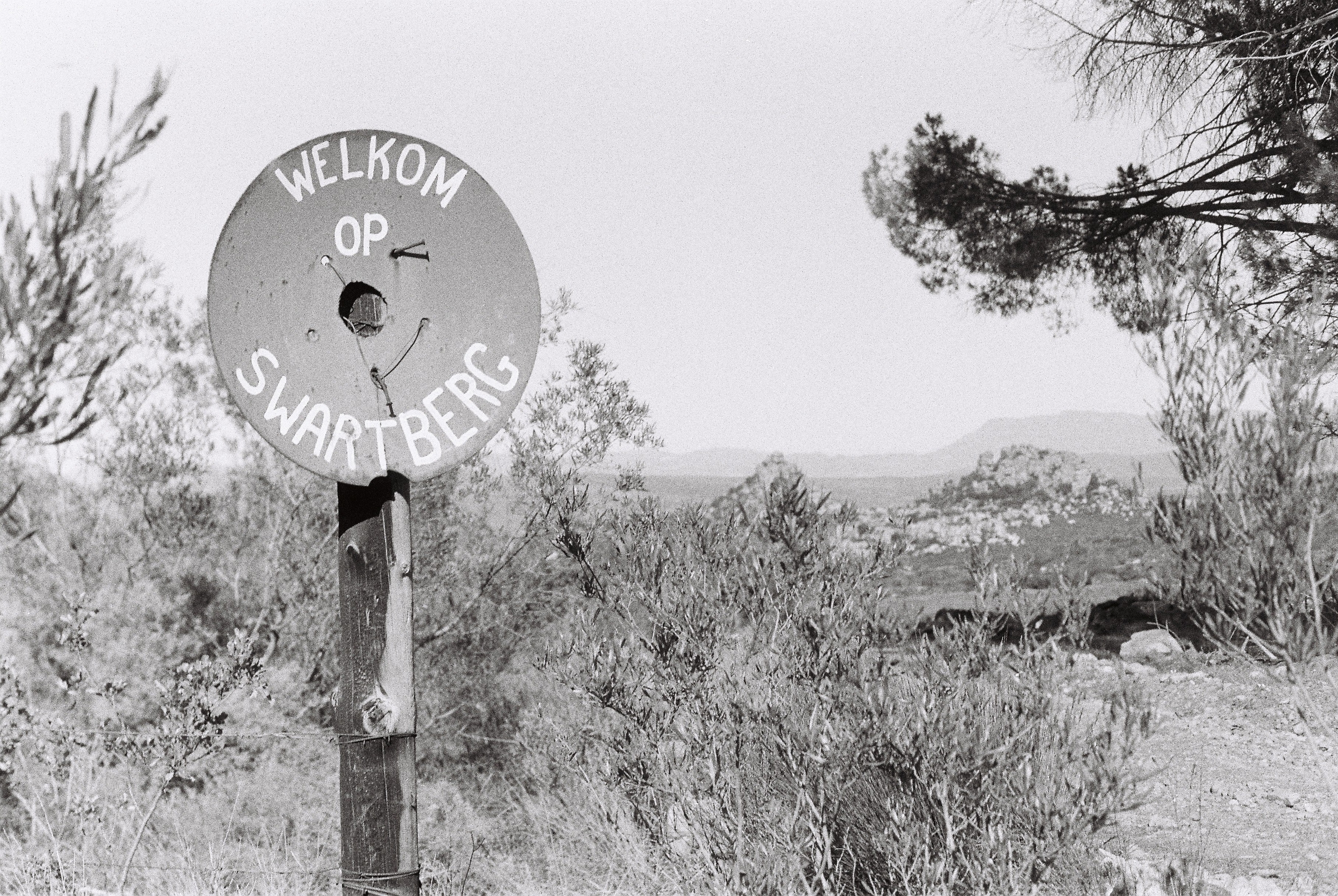 Swatberg Wingerde, South African vineyards. 