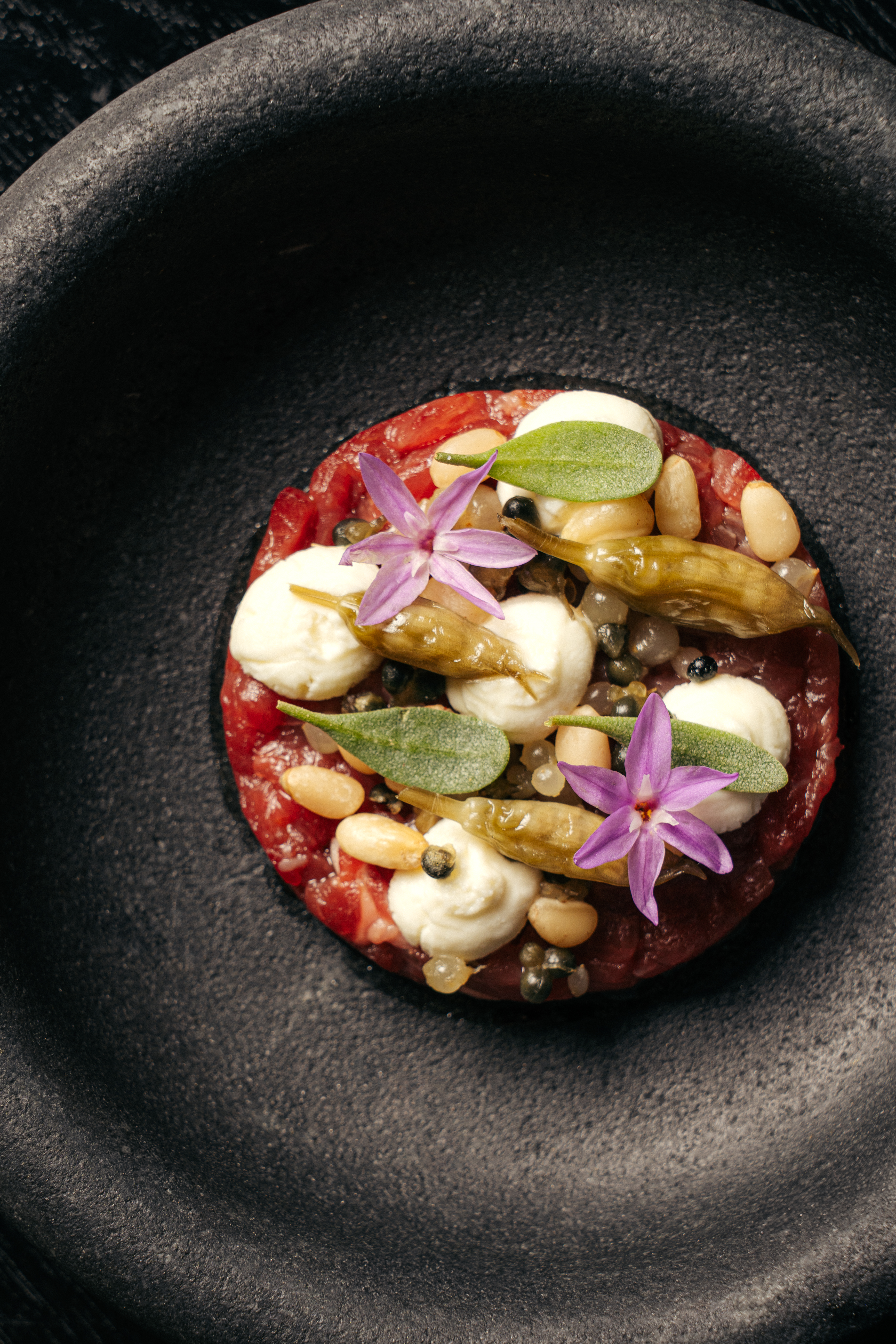 Cardinal, weekend in Edinburgh.