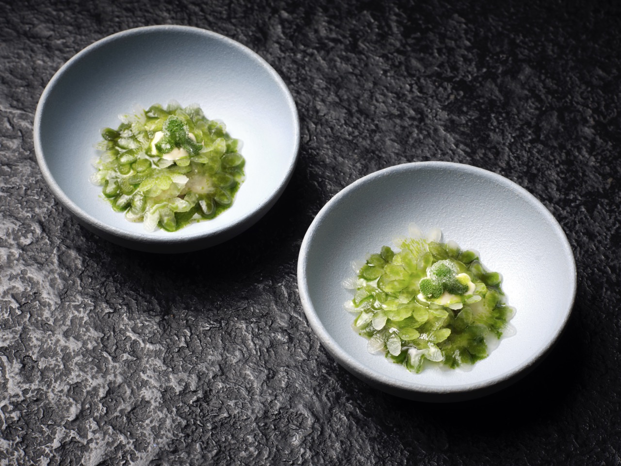 Michelin-star chefs dish