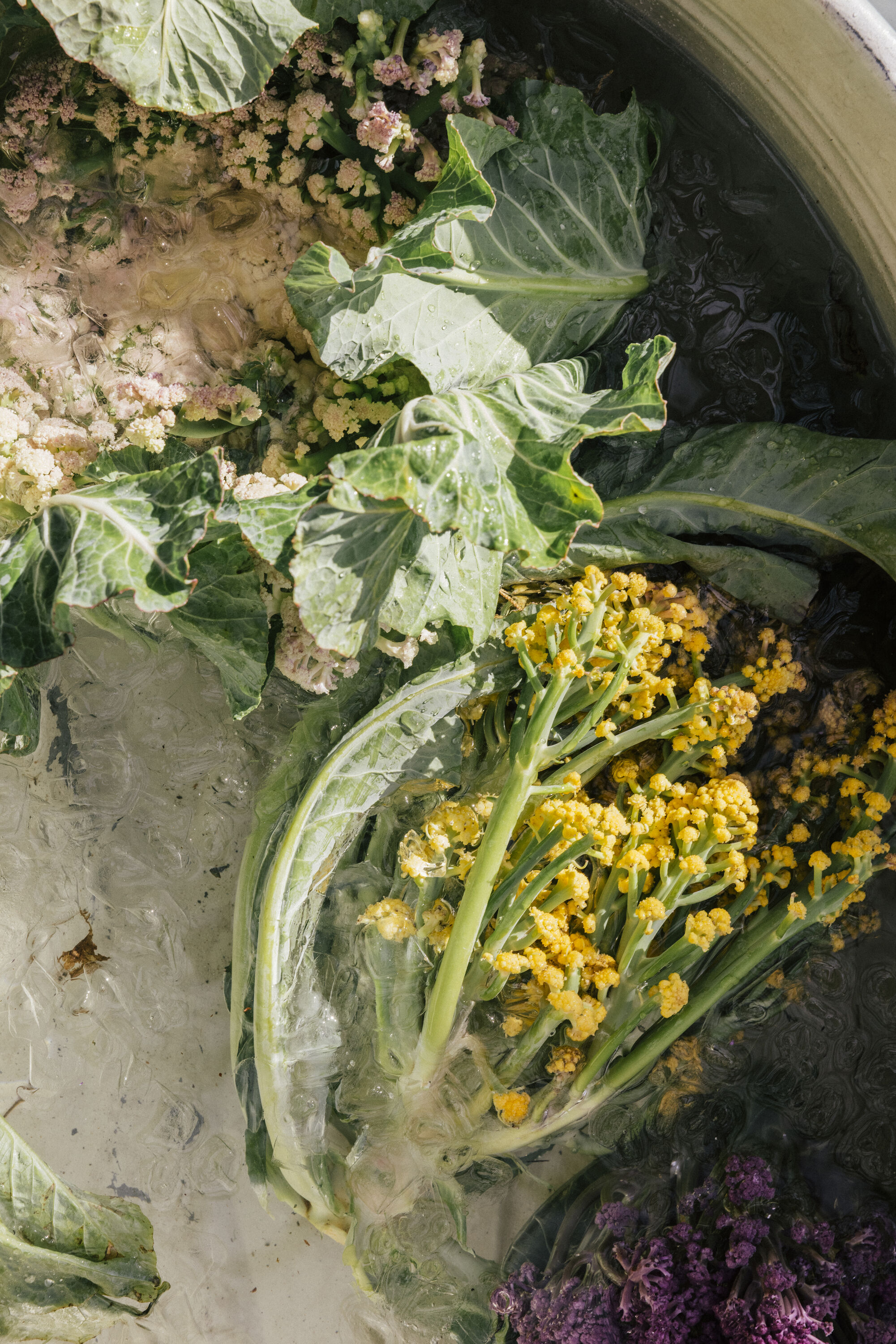 farm-to-table, Noma LA residency.