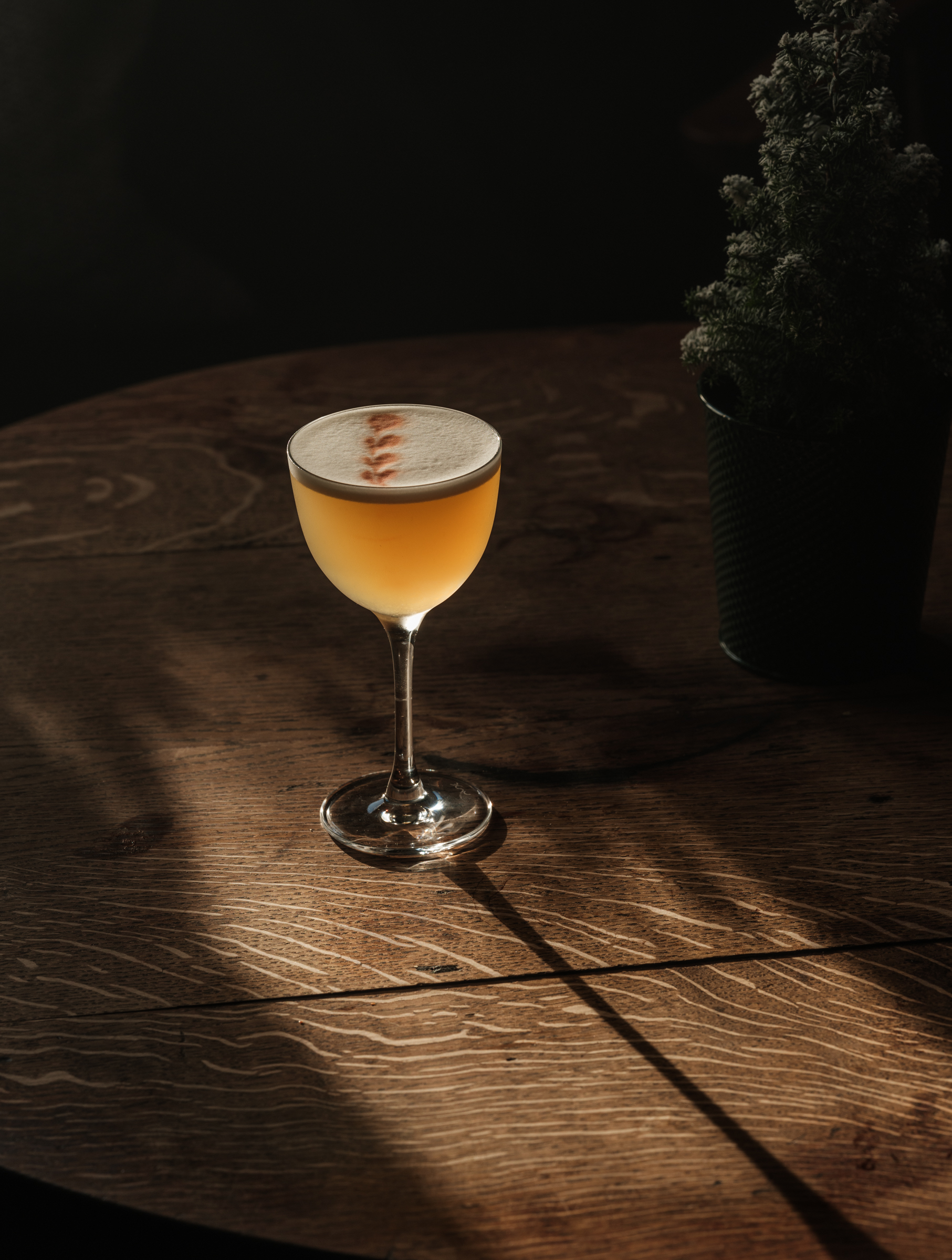 Whiskey Sour, The Great Bustard.