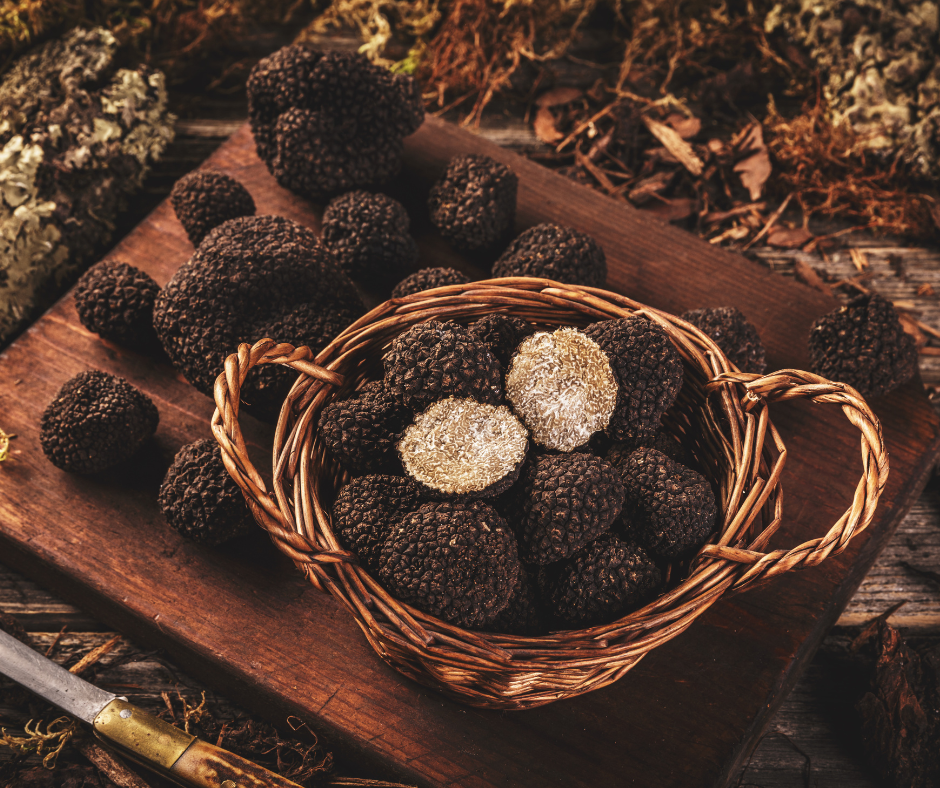 Truffle hunting season. 