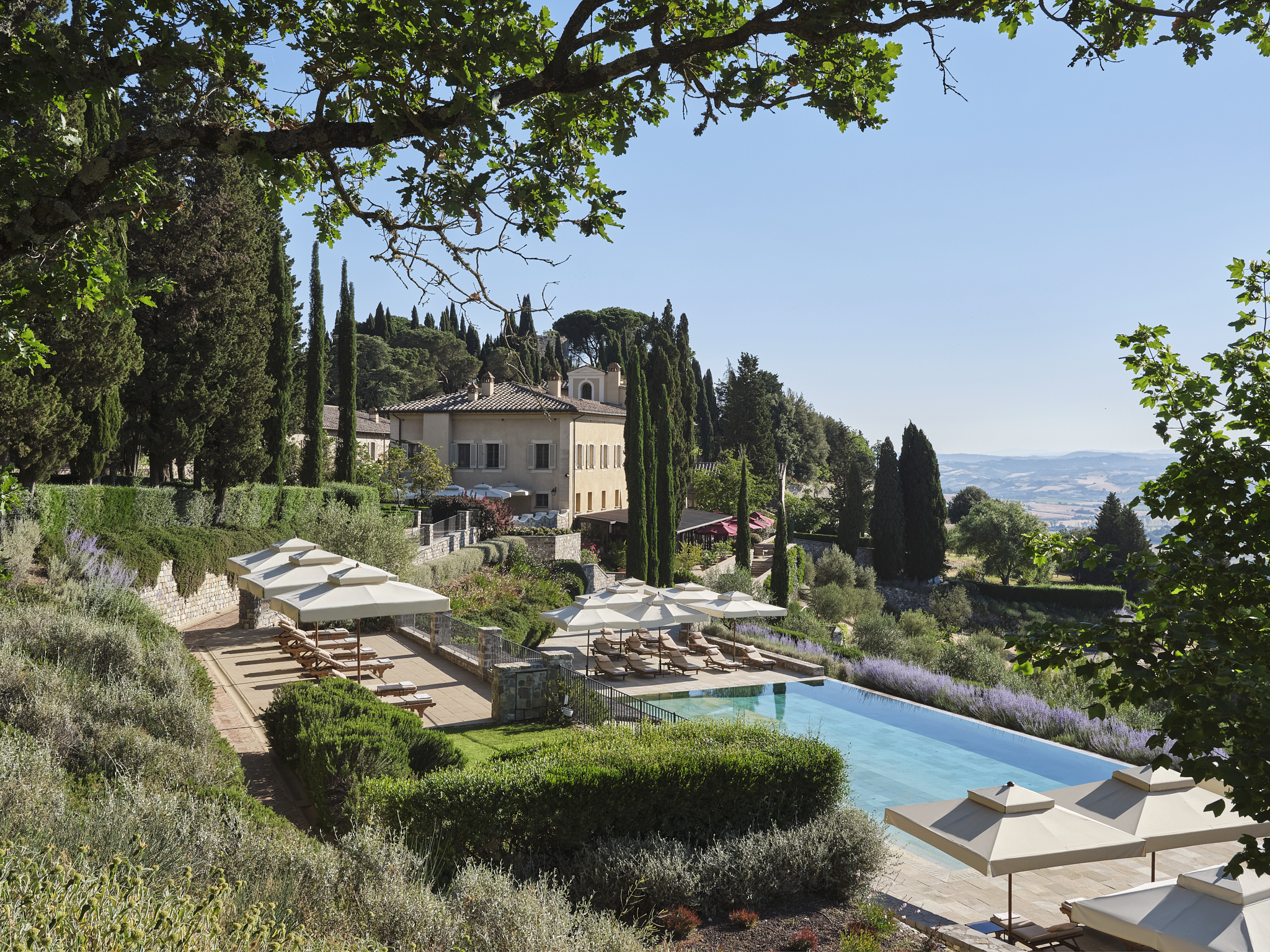 Rosewood Castiglion del Bosco truffle hunting. 