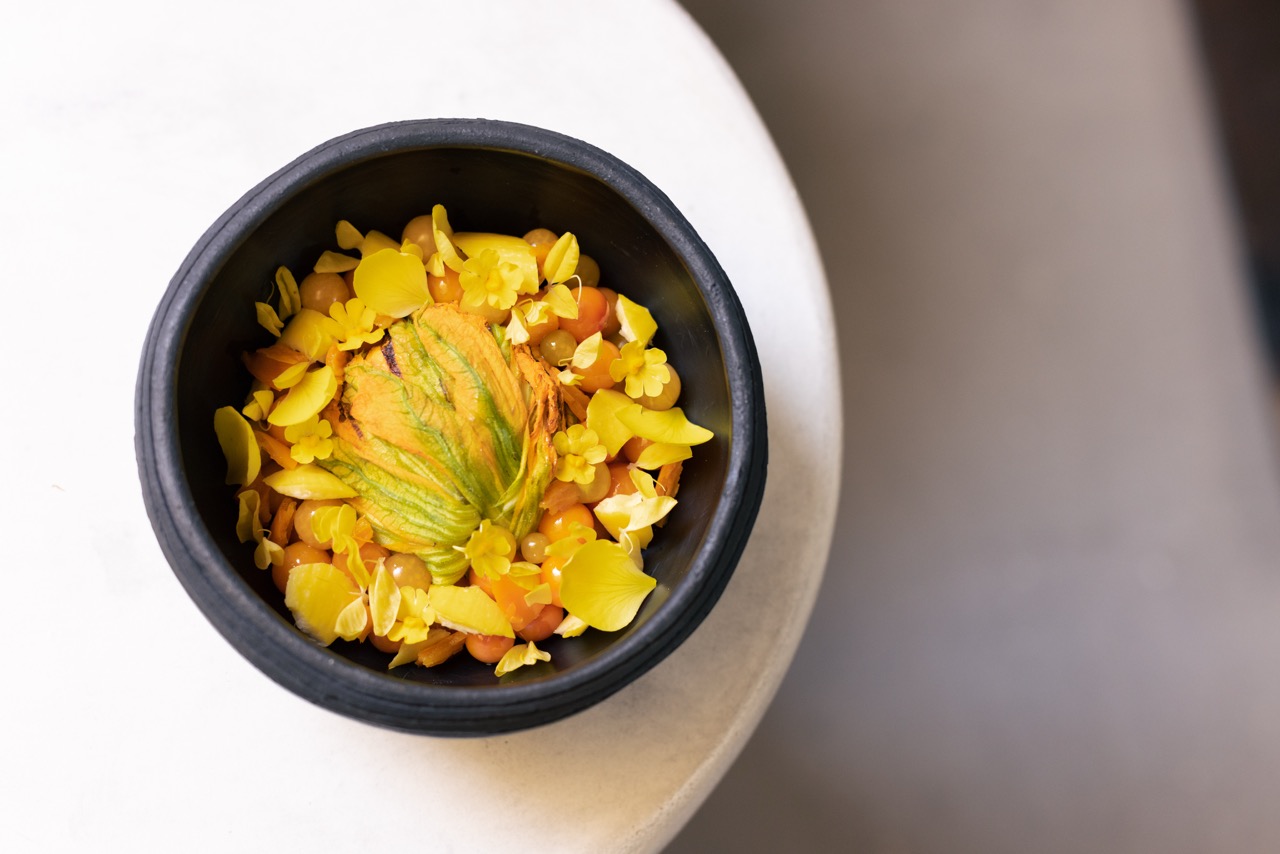 Meteora, World Cup 2026 Host Cities.