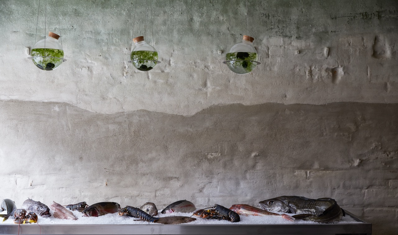 The Sea, The Sea, Best new restaurant openings London.