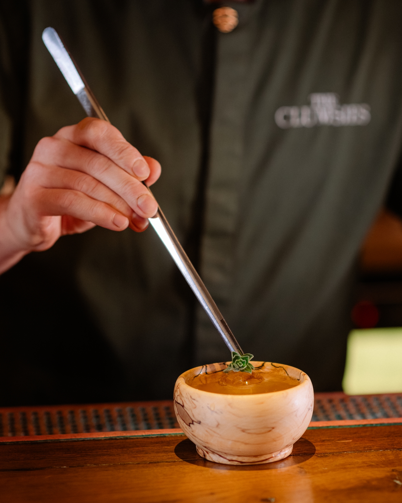 Tomaro Solaris garden party.