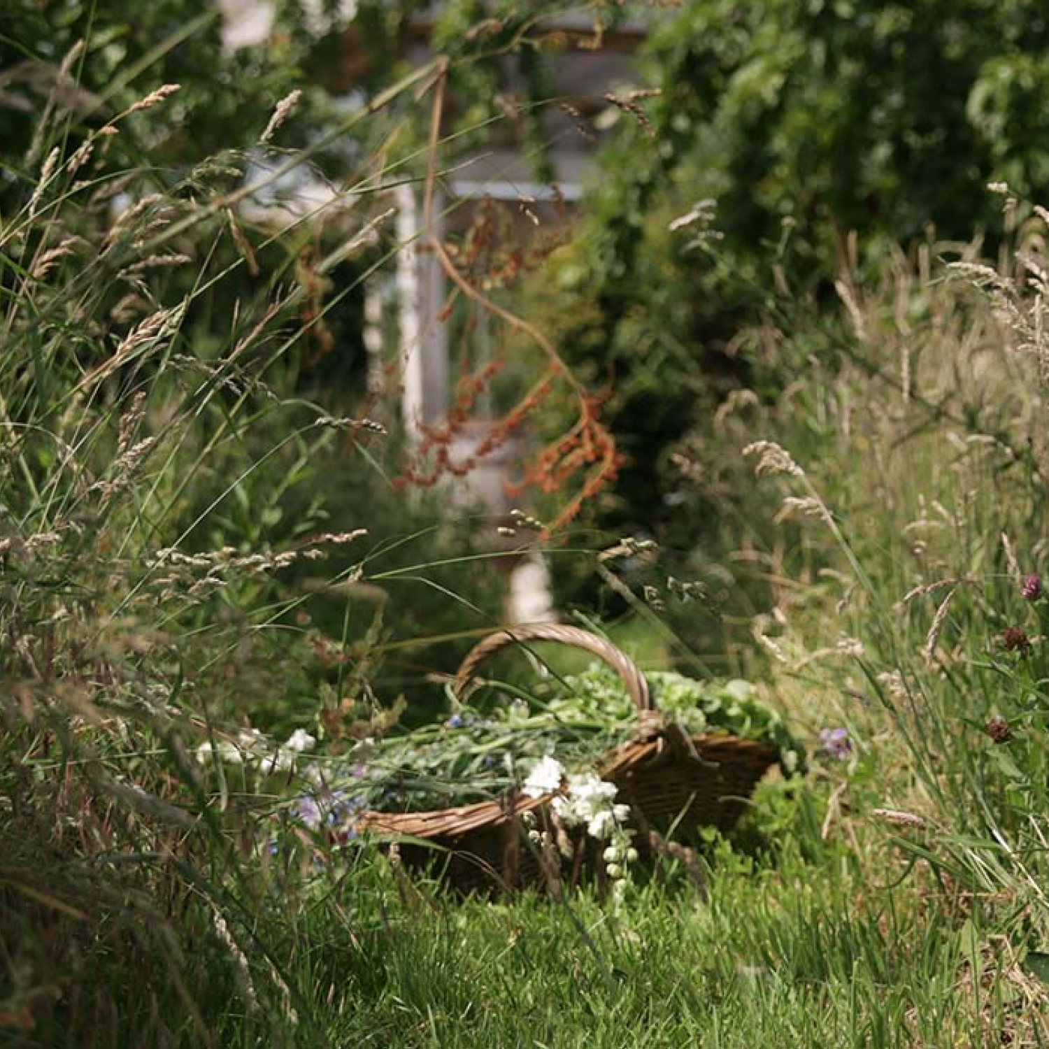 Daylesford Soil & Supper, London events. 