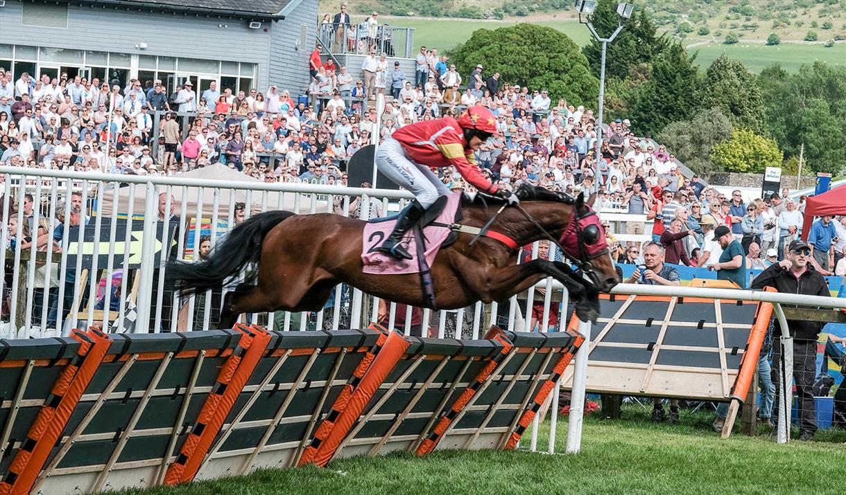 The Lake District Book Festival is being held at Cartmel Racecourse