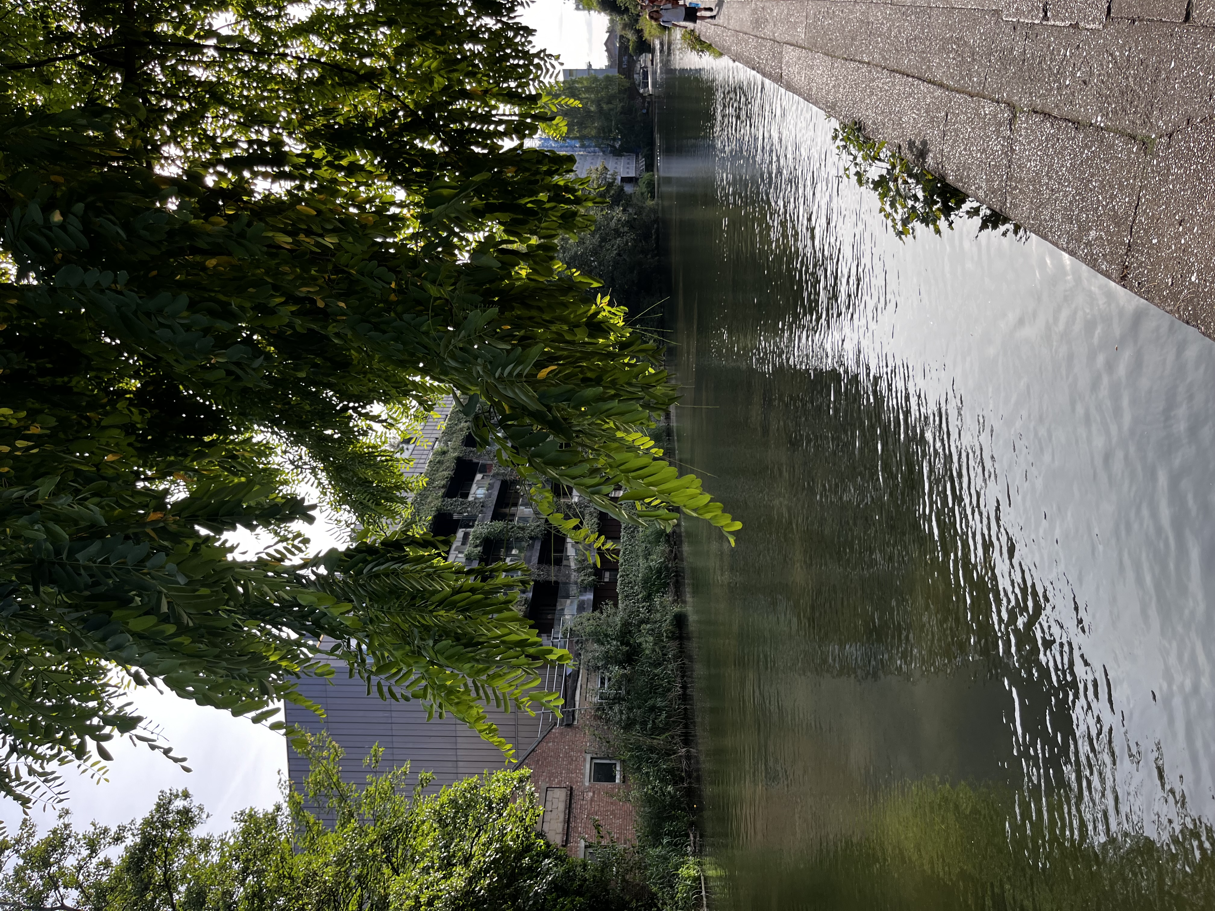 Regent's Canal  - Things to do in Hackney