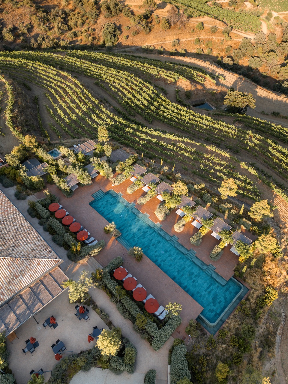 A bird's-eye view - Spanish wine. 