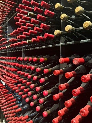 Cellar Familia Nin Ortíz - Spanish wine, 