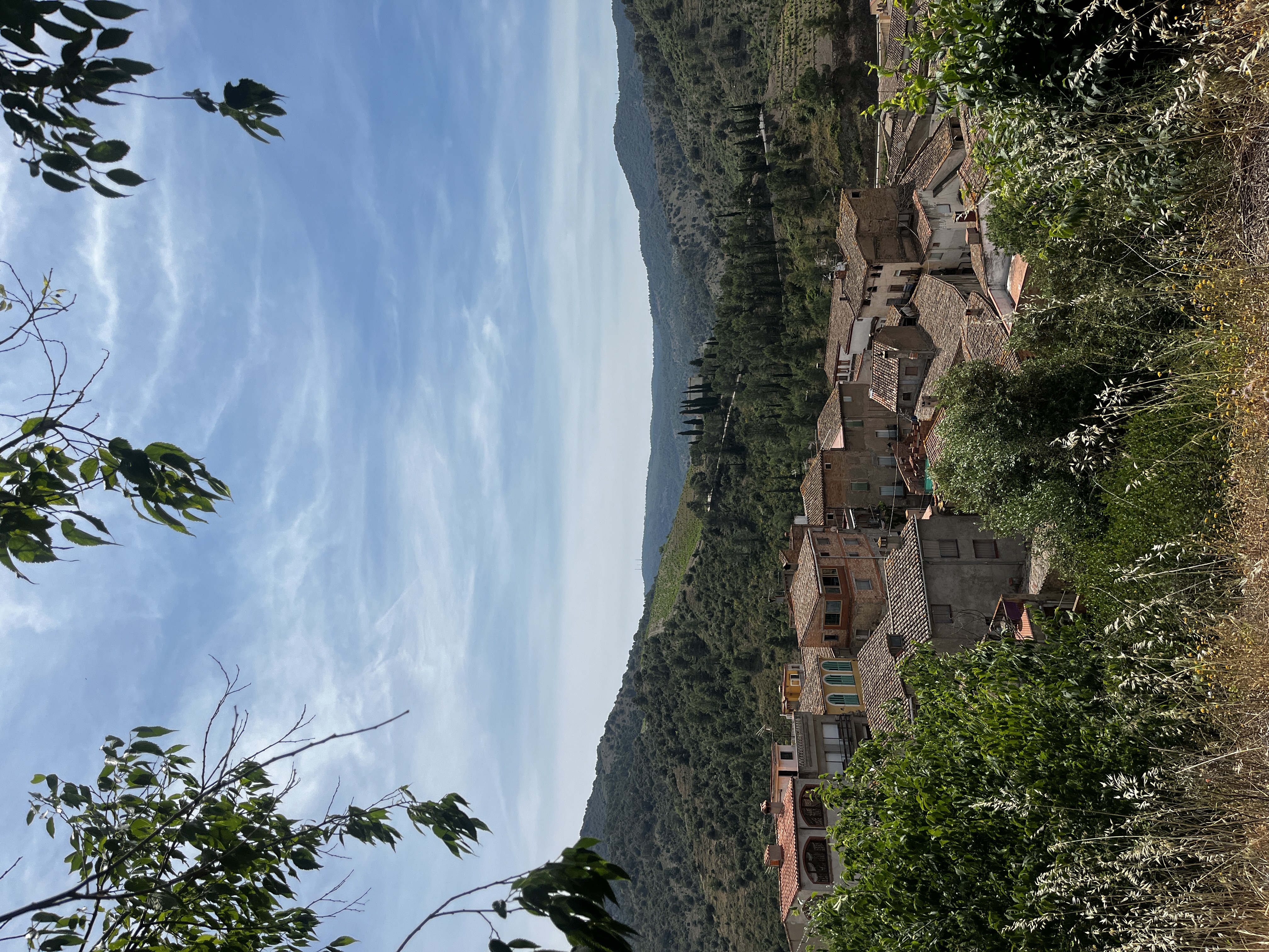 Views - Spanish wine. 