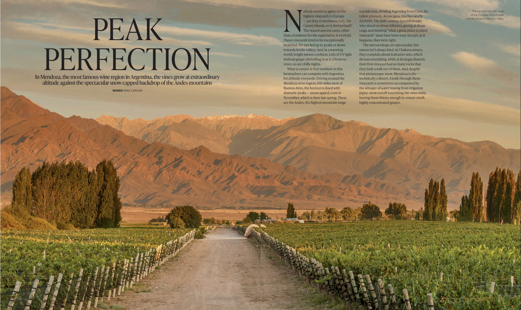 WIne - SPHERE Summer Magazine. 