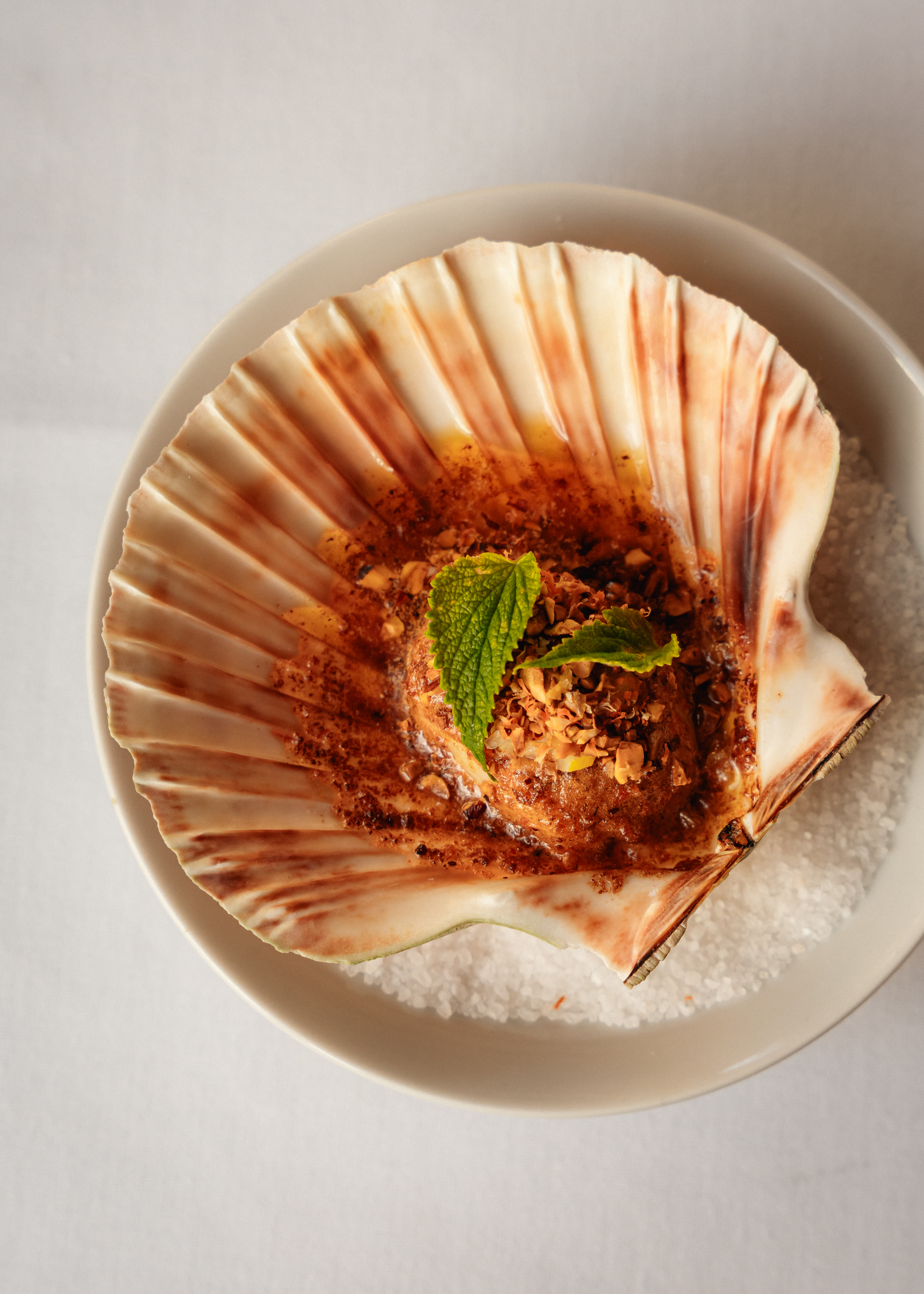 Scallop at Tavern London