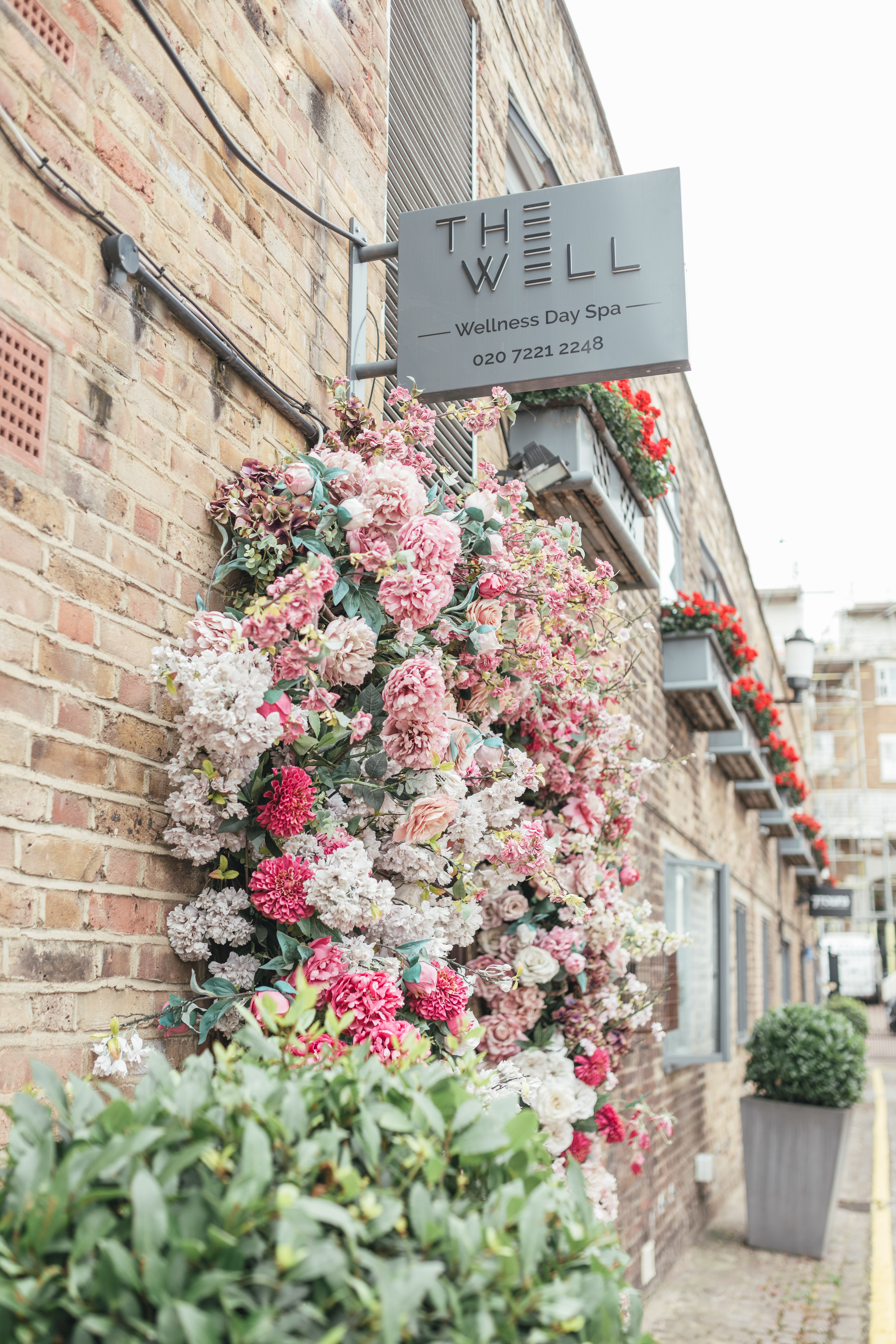 The Well, medical aesthetics. 