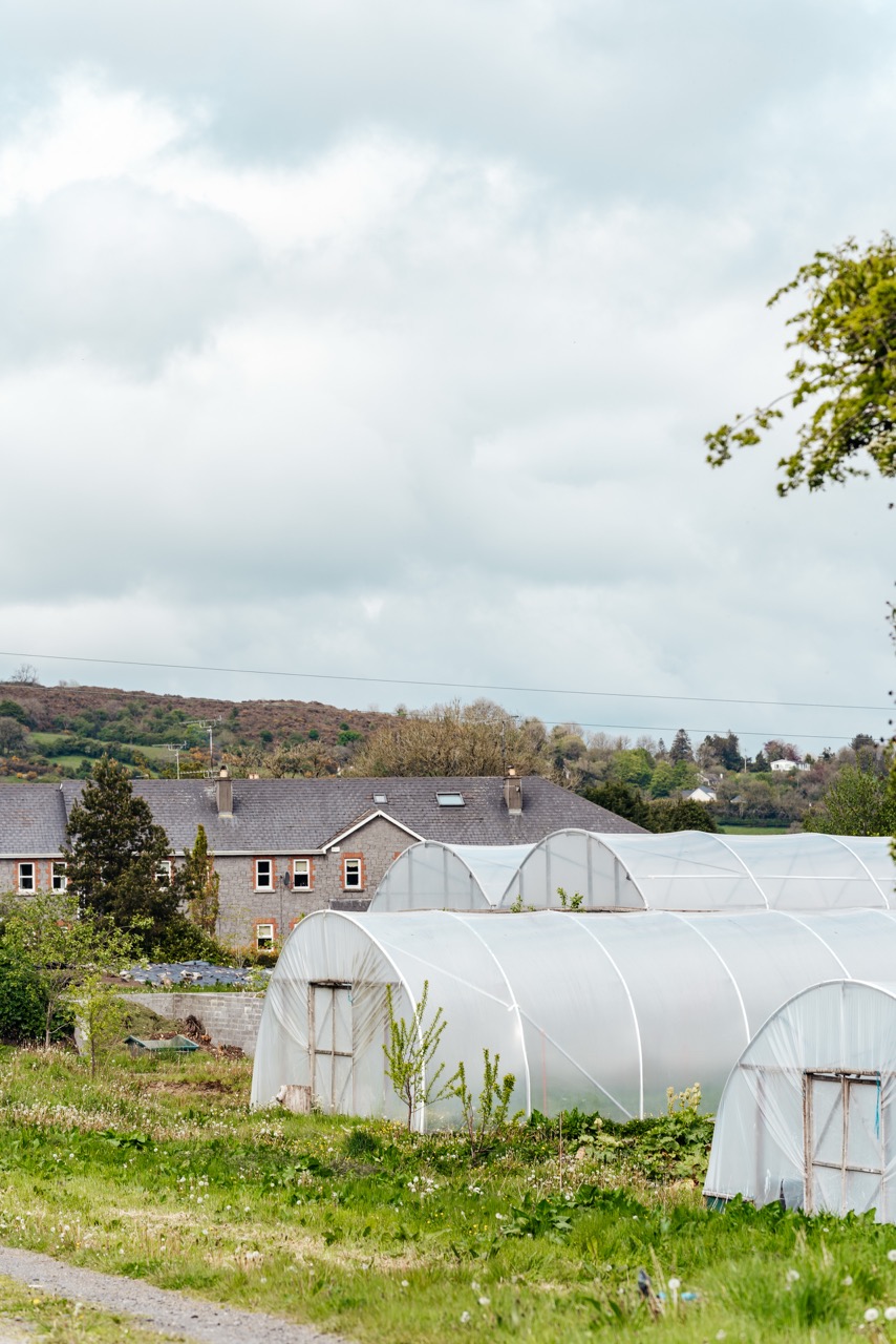 Polytunnels at Virginia Park Lodge