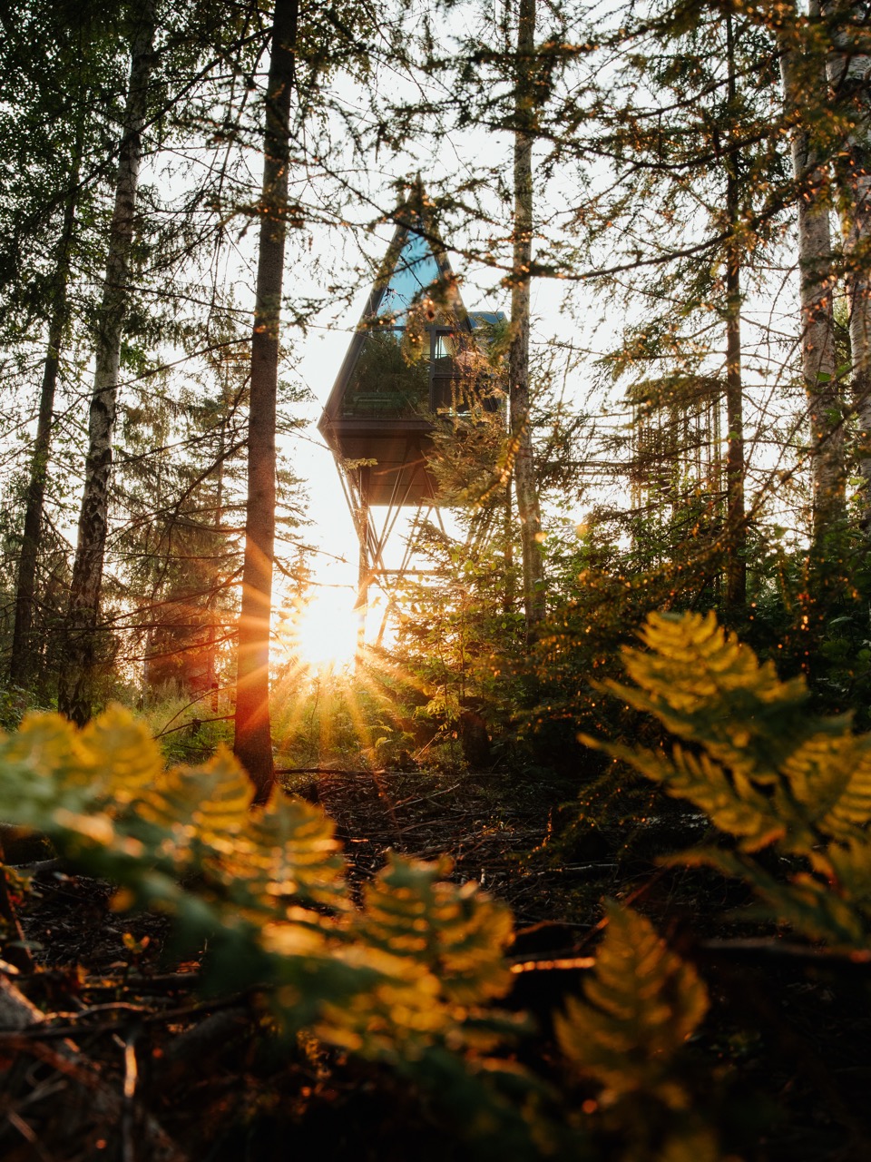 Norwegian walking holiday. 