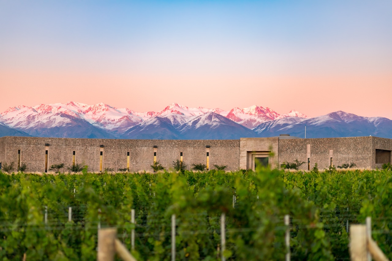 Bemberg estate wines in Mendoza. 
