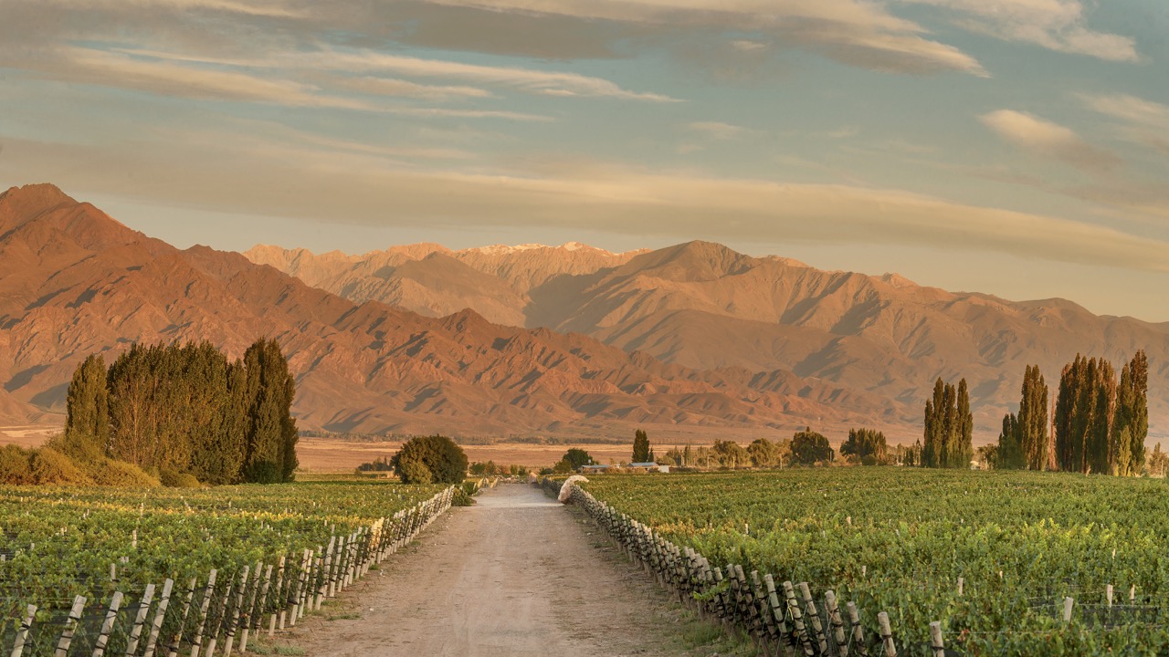 Uco Valley, Mendoza. 