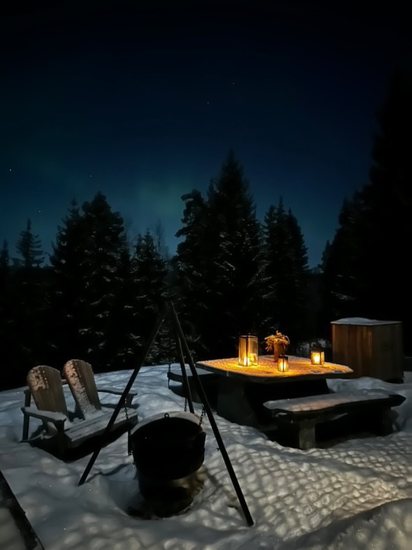 Fireplace, PAN Treetop Cabins