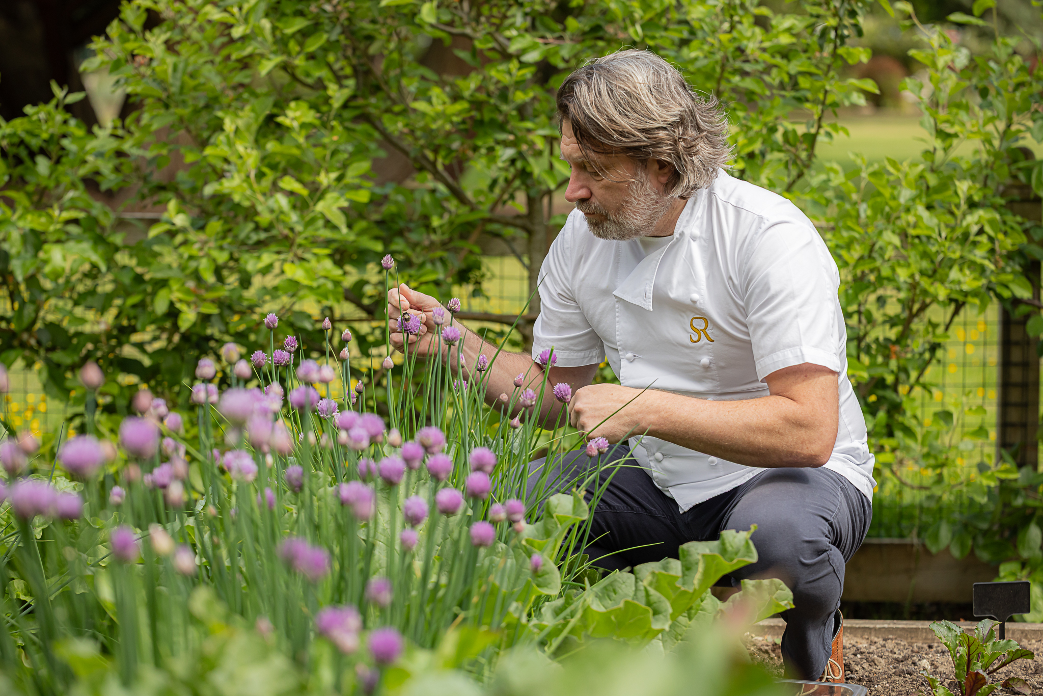 Kitchen garden, best hotels in Yorkshire. 