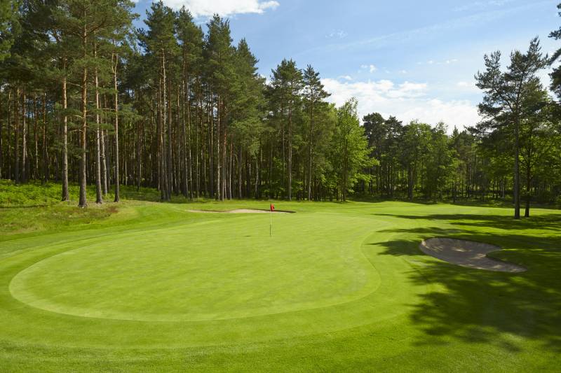 Wentworth Charity Cricket Day