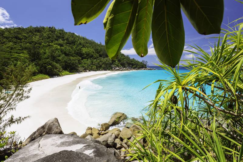 Escape to paradise: The tranquil tropics of the Seychelles