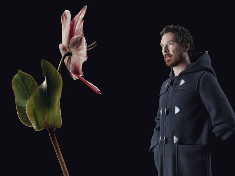 Prada Floral Campaign autumn winter  - Benedict Cumberbatch