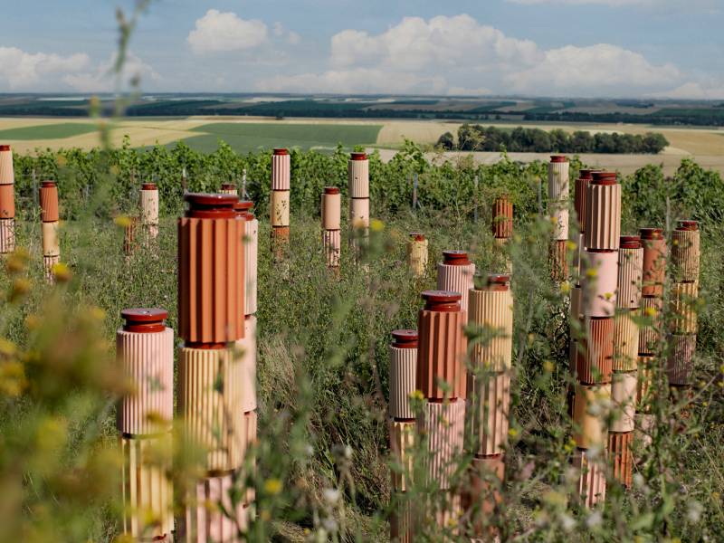 Perrier-Jouët FormaFantasma