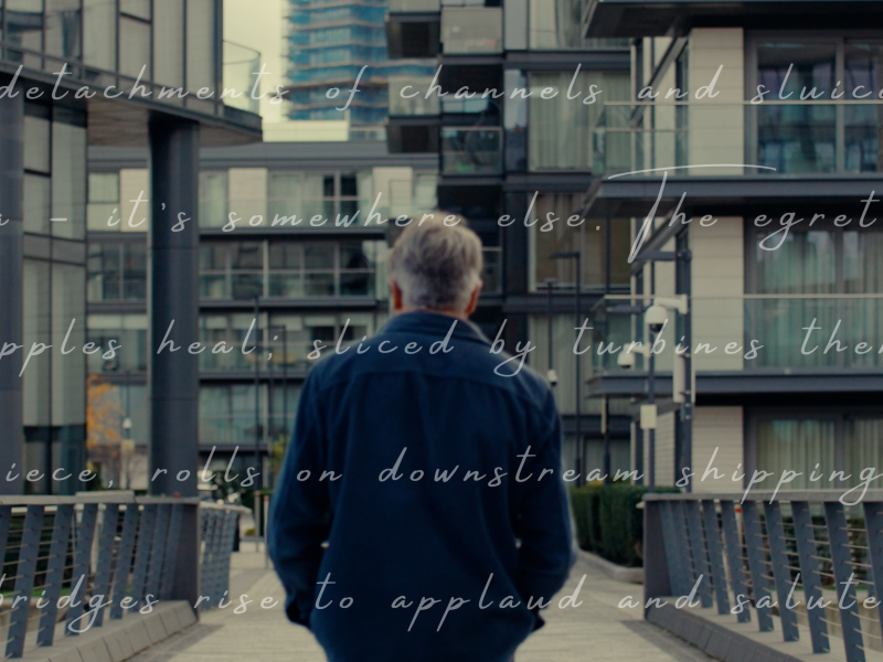 Simon Armitage Poem - Simon Armitage on the Chelsea Waterfront Bridge