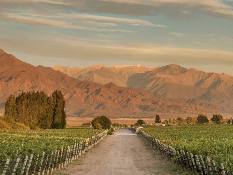 Zuccardi Finca Piedra Infinita, Mendoza.