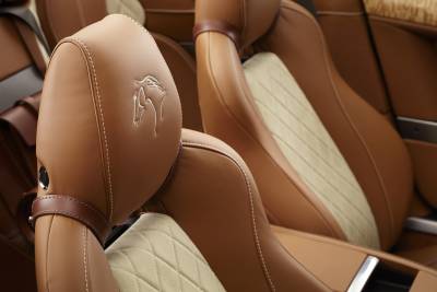 An equestrian-themed Aston Martin DB9 Volante