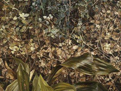 Art: Discover Lucian Freud's Stunning Plant Portraits
